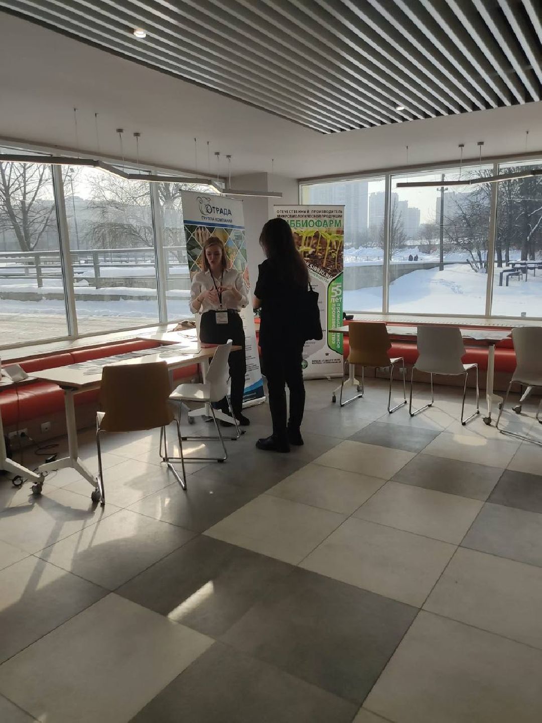 Лосино-Петровский, общество