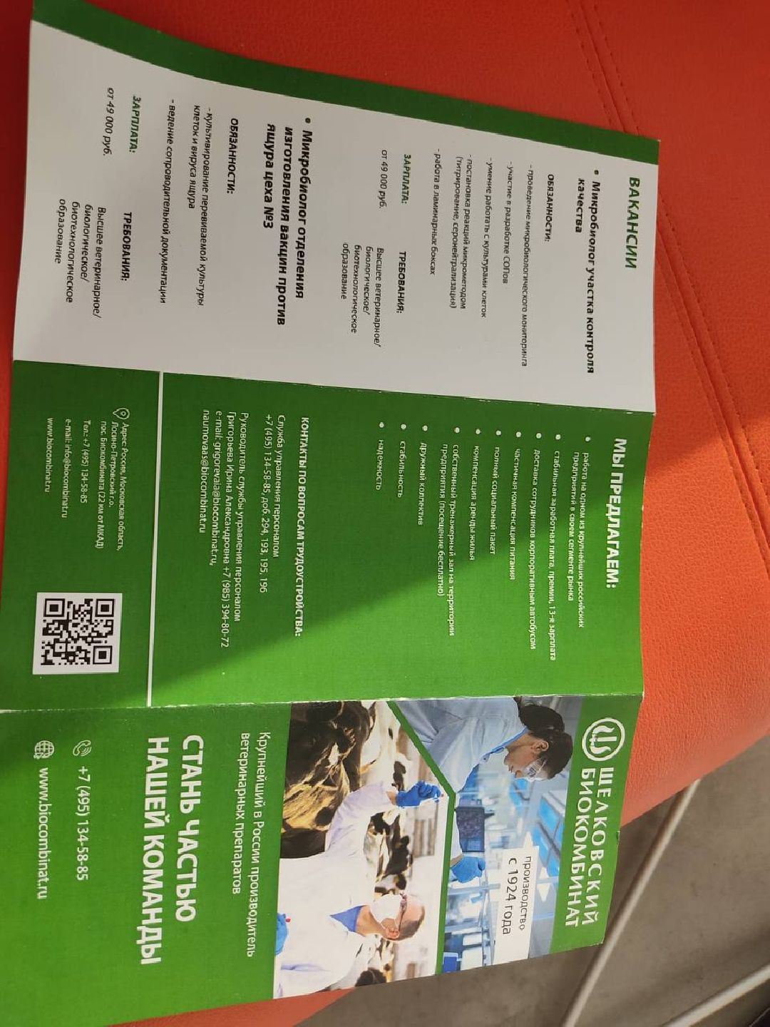 Лосино-Петровский, общество