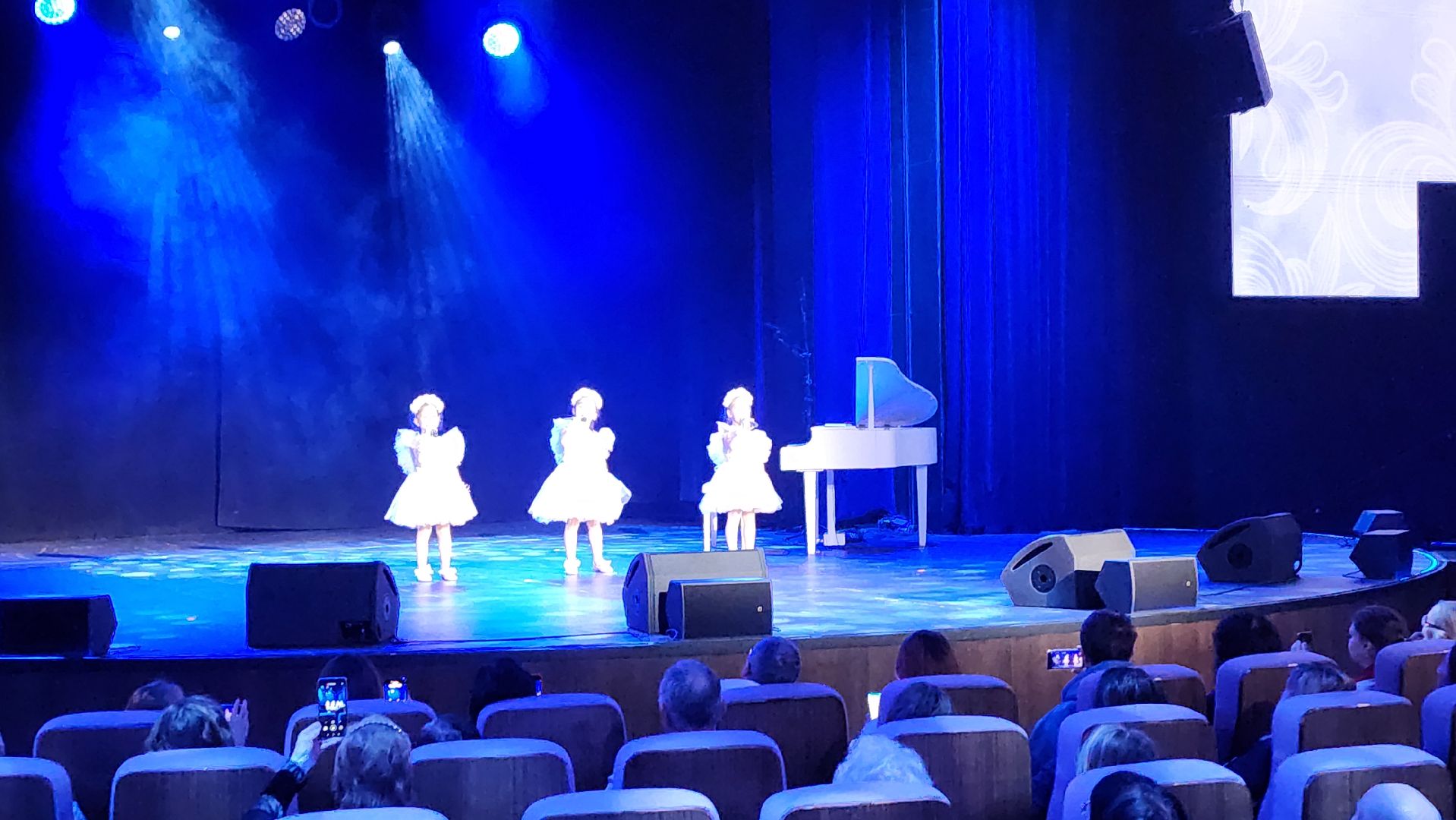 От героев былых времен, концерт, благотворительный, СВО, Марфо-Мариинская обитель, Анкудинова, Елисавета, Певцов, Маликов, Вегас,