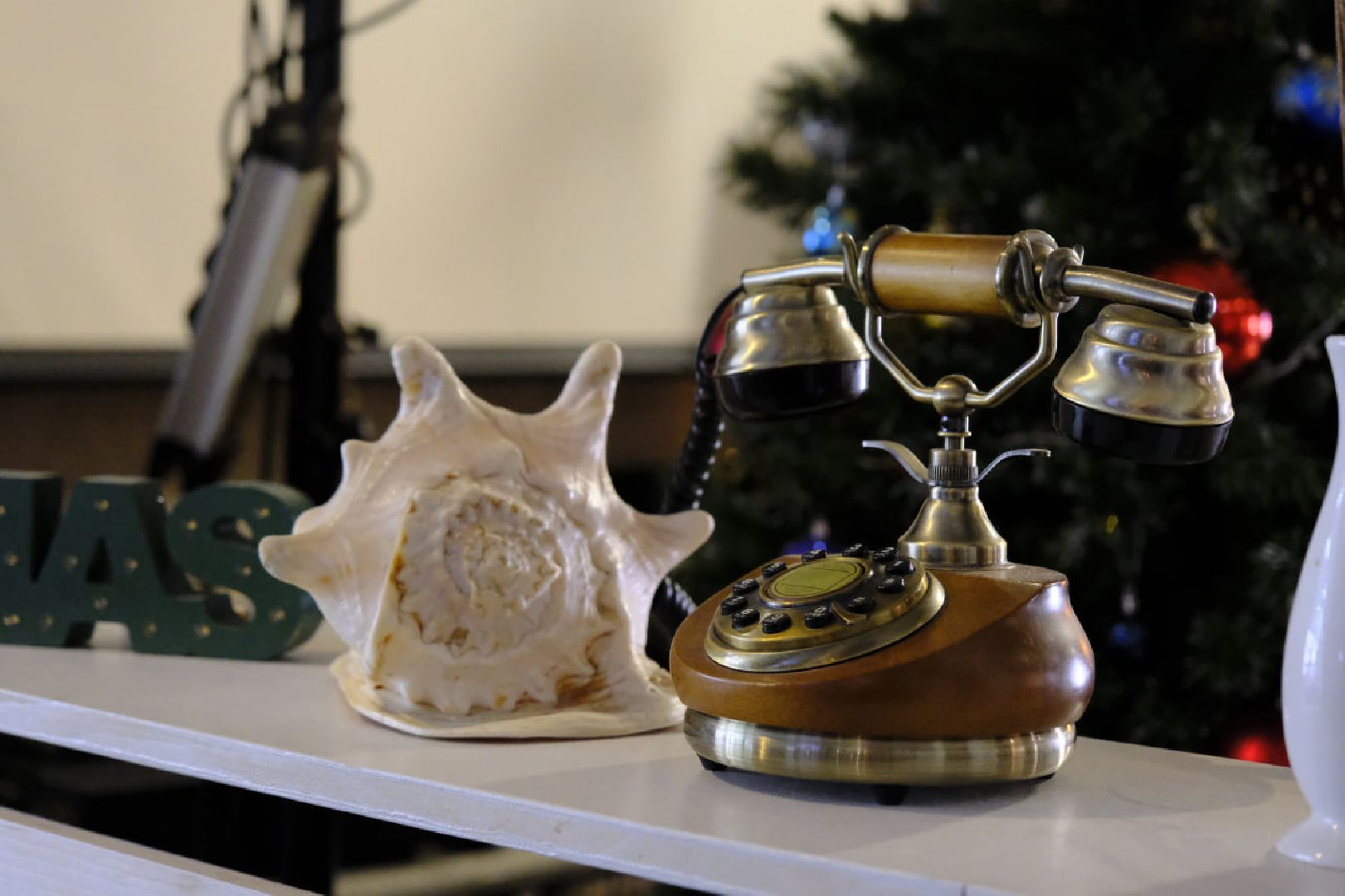 пущино, ешь в подмосковье,