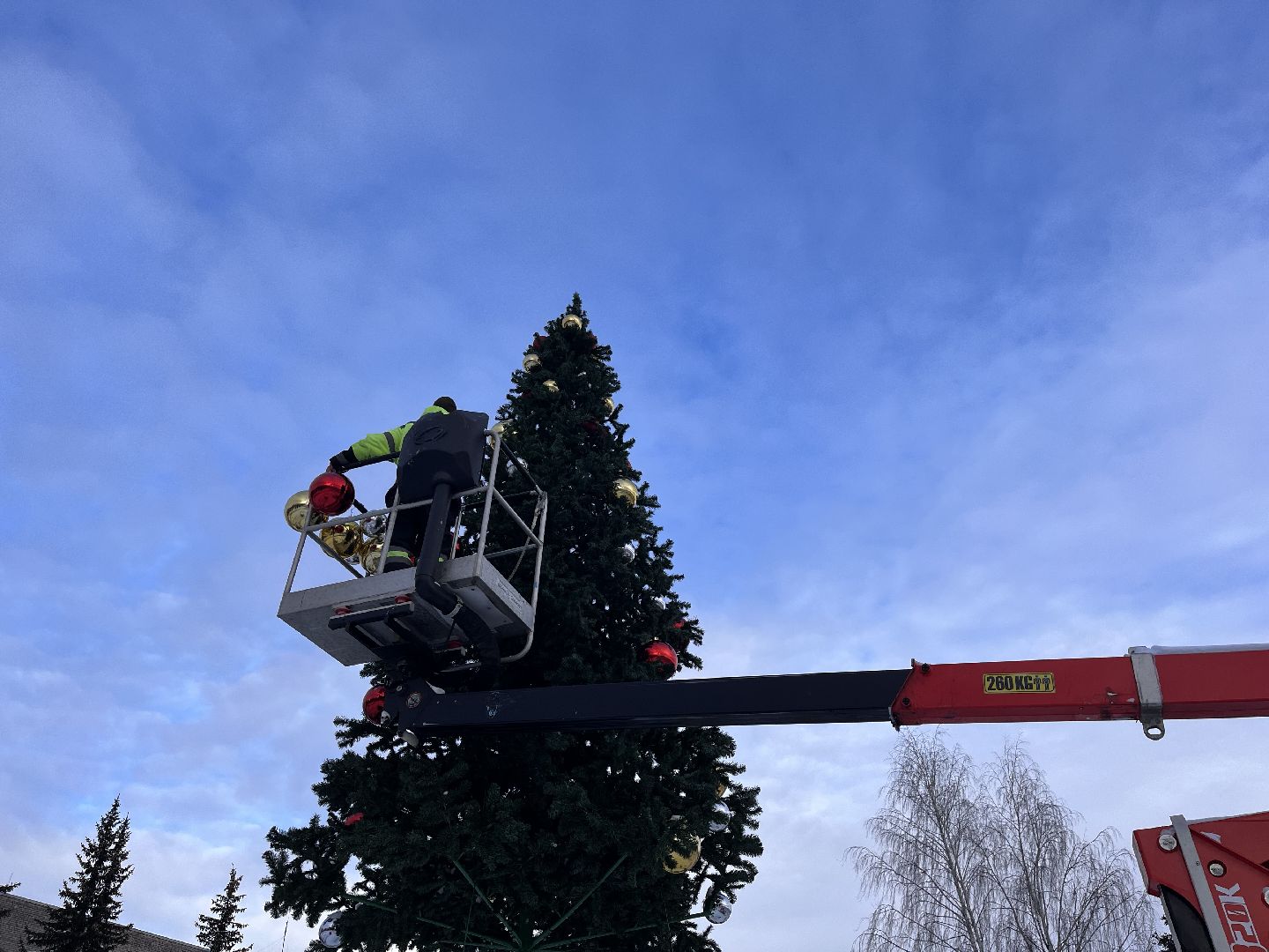 Шаховская, ёлка, комунальная техника, разобрали елку,