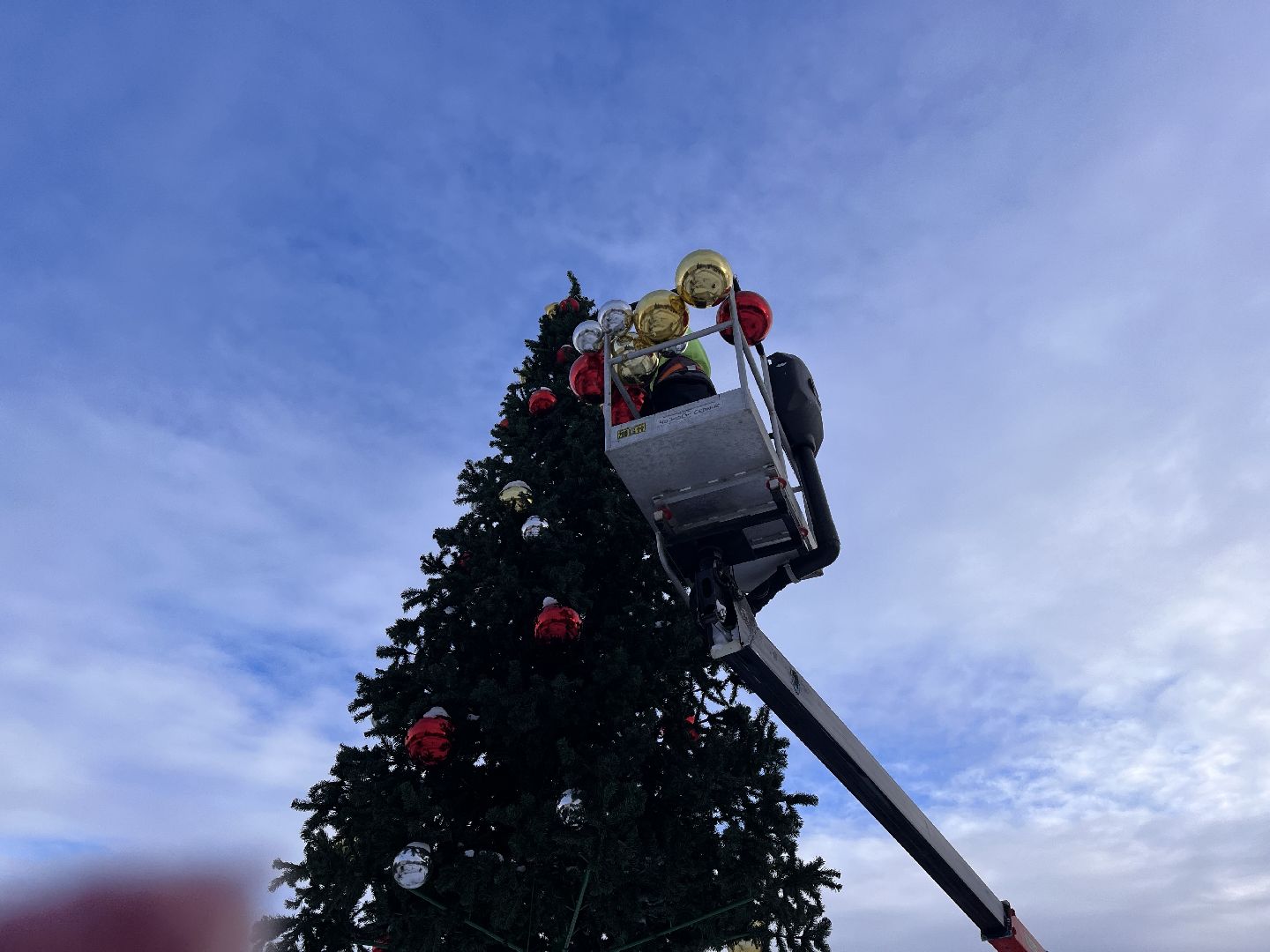 Шаховская, ёлка, комунальная техника, разобрали елку,