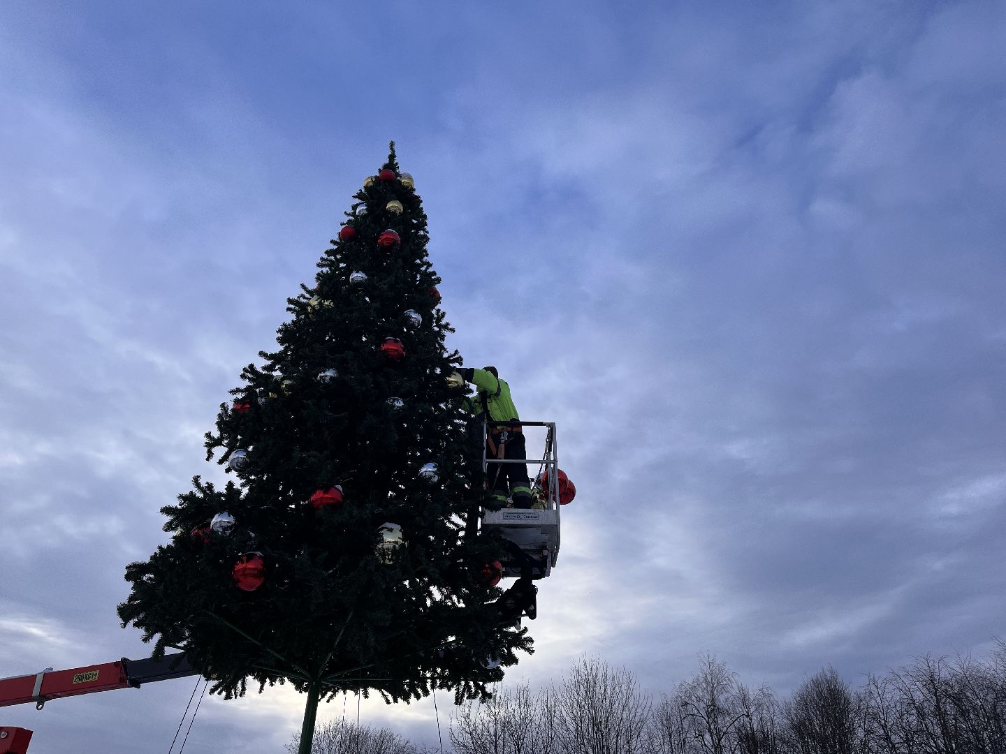 Шаховская, ёлка, комунальная техника, разобрали елку,