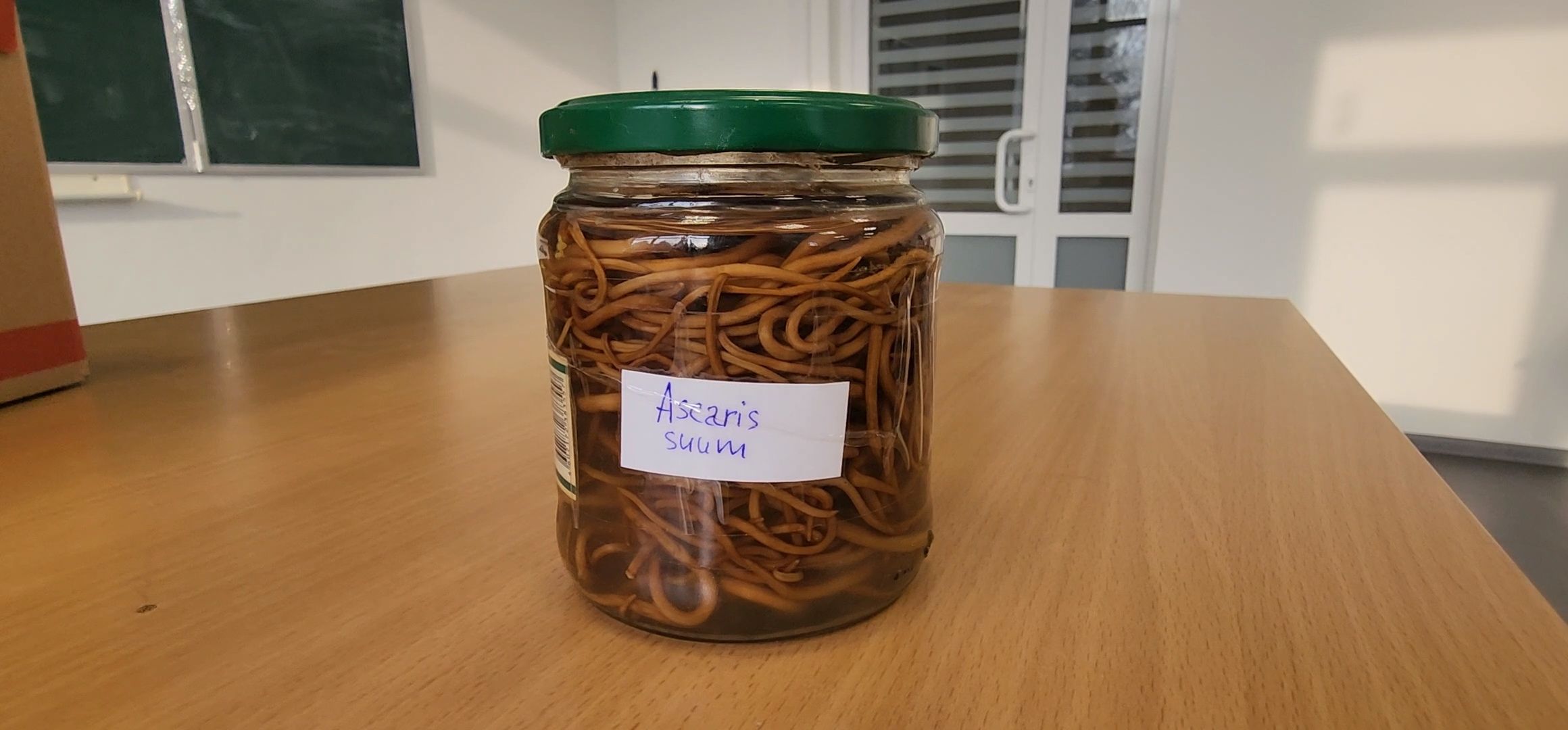 Коломна, коломенский аграрный колледж, паразитология, безопасность,