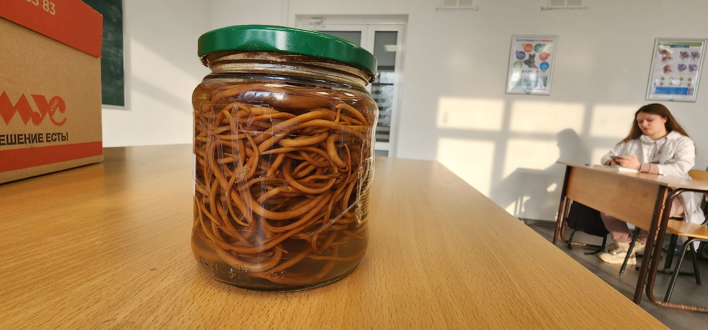 Коломна, коломенский аграрный колледж, паразитология, безопасность,