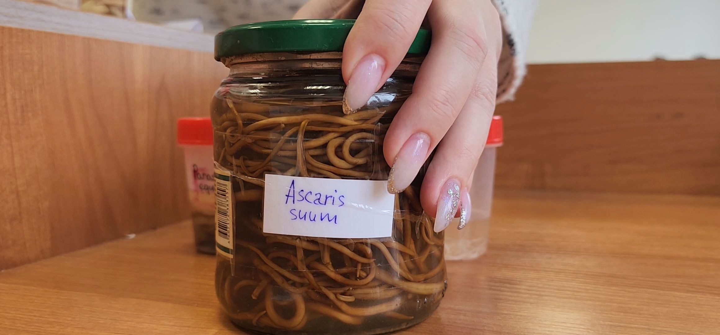 Коломна, коломенский аграрный колледж, паразитология, безопасность,