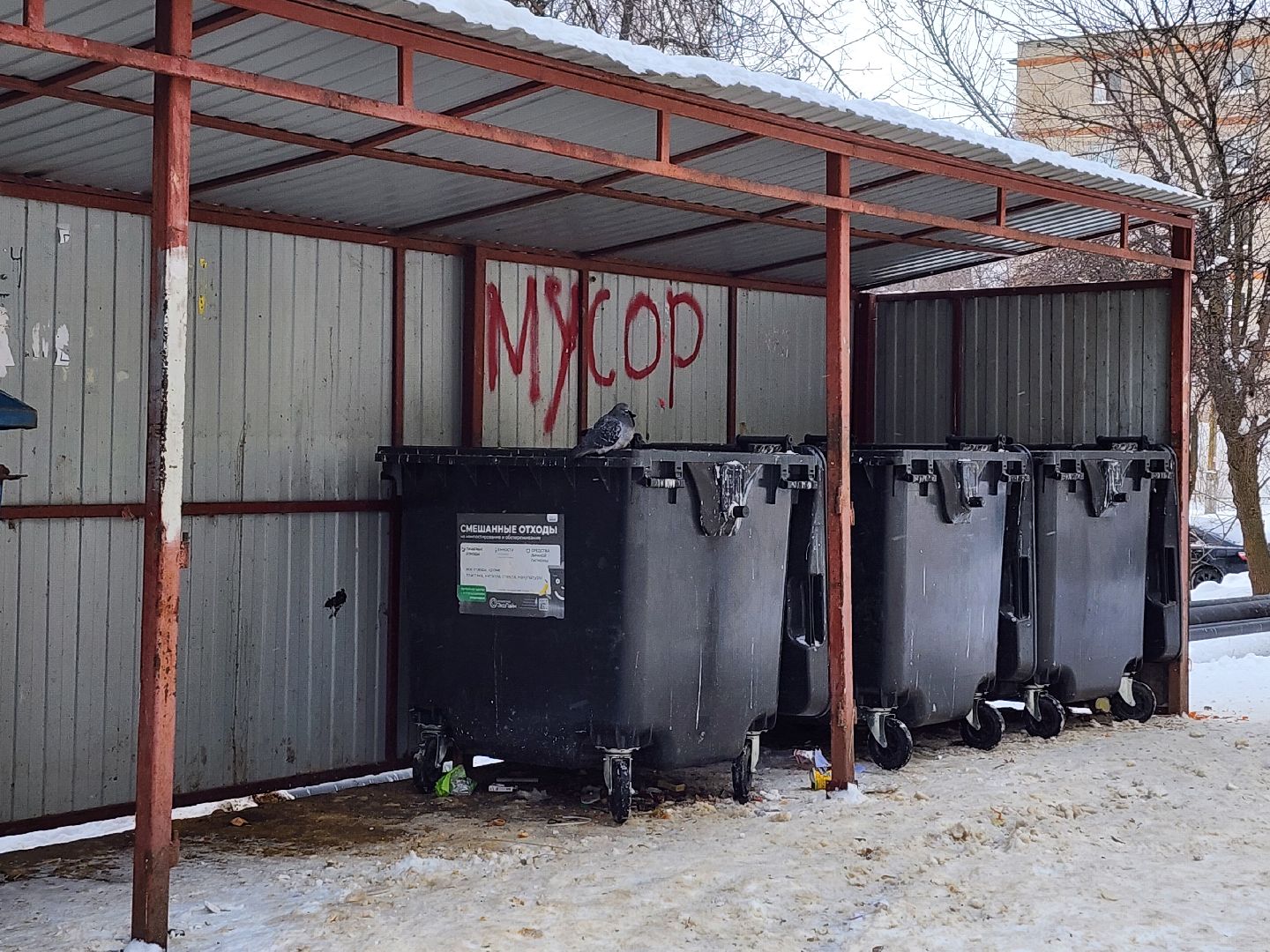 воскресенск, мусор, жители, контейнерная площадка,