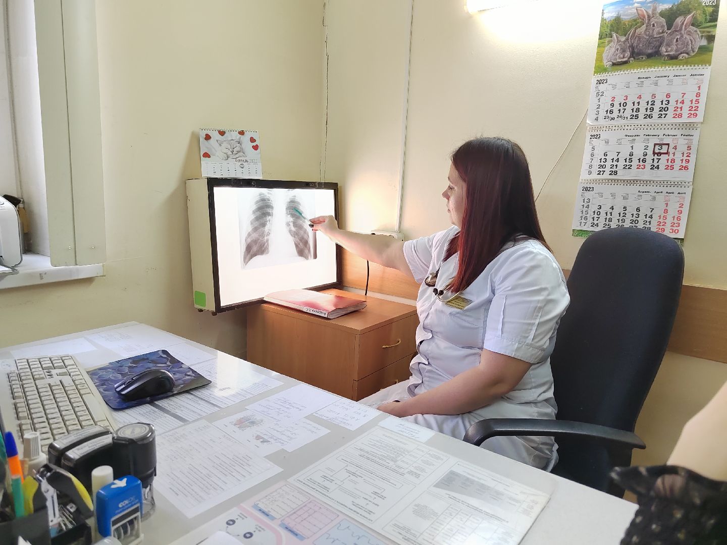 Пушкино, медицина