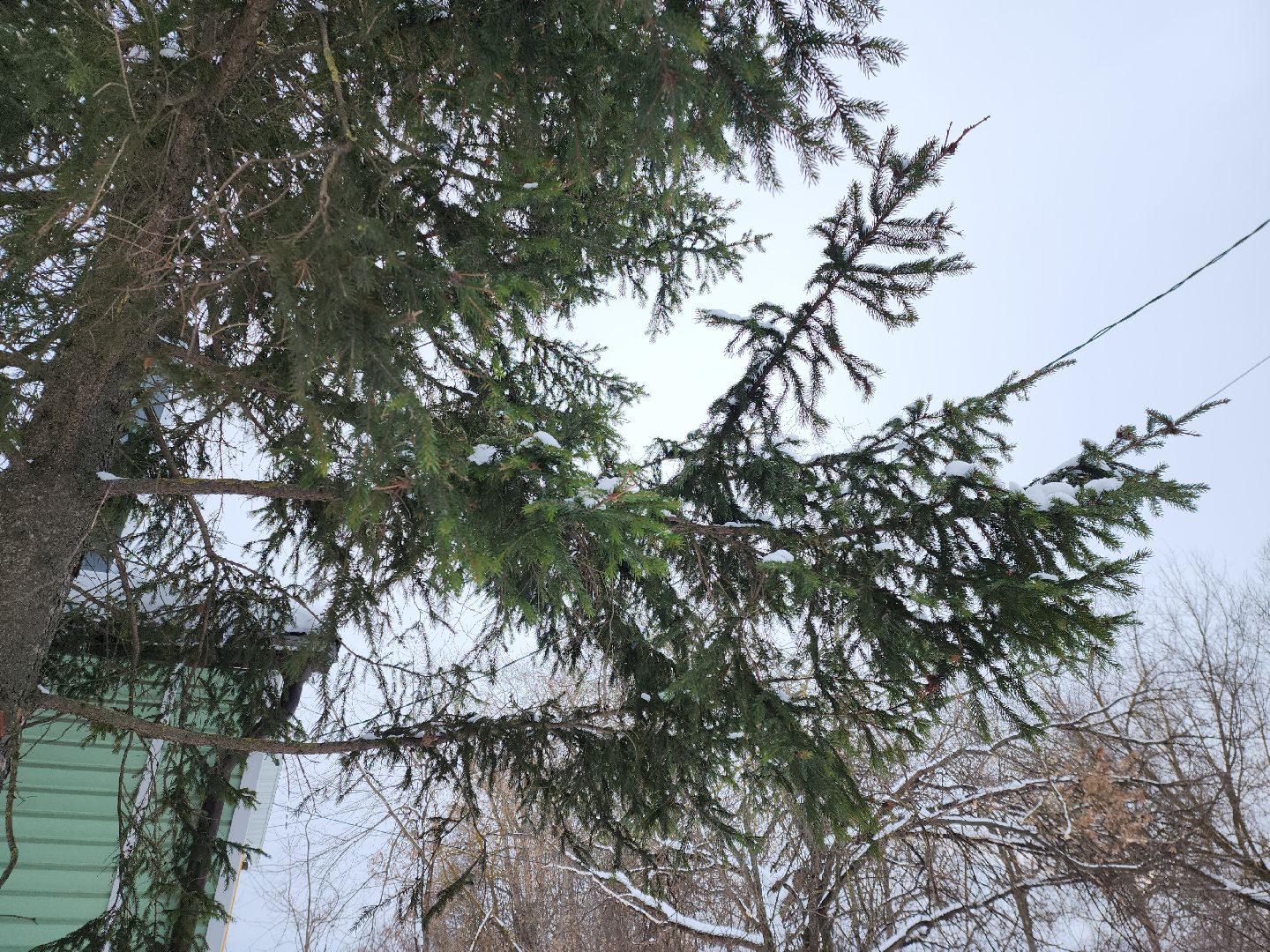 коломна, общество, погода, зима 2024,