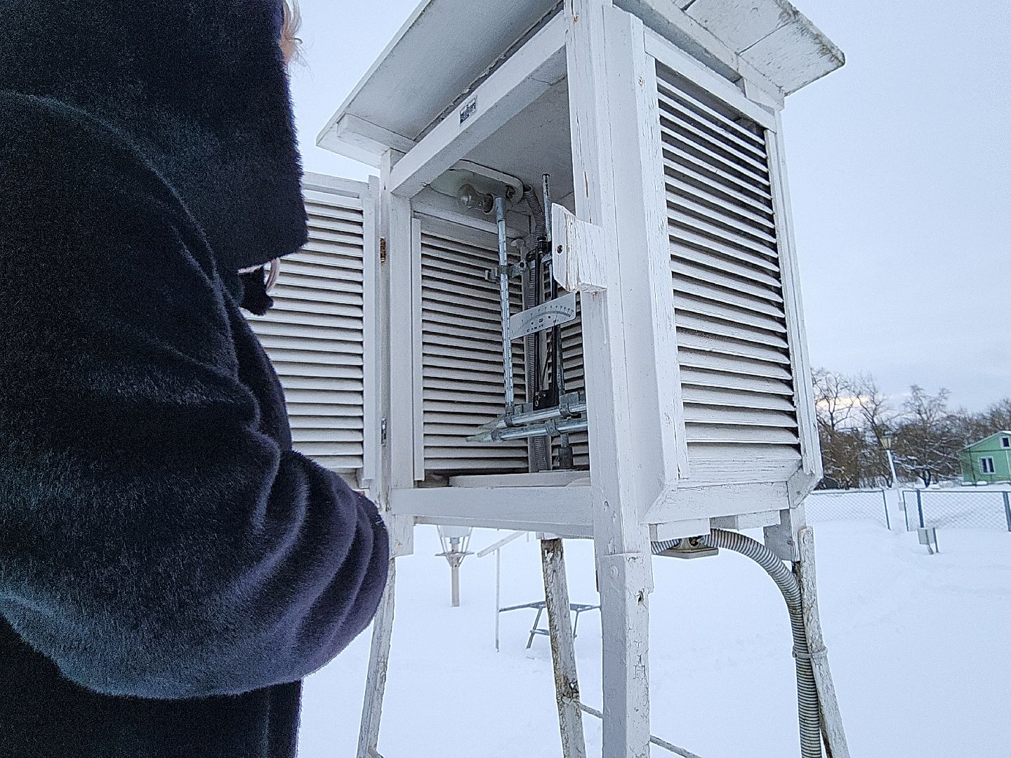 коломна, общество, погода, зима 2024,