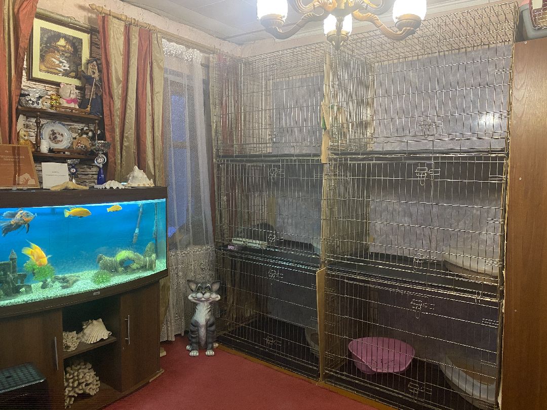 Долгопрудный, общество