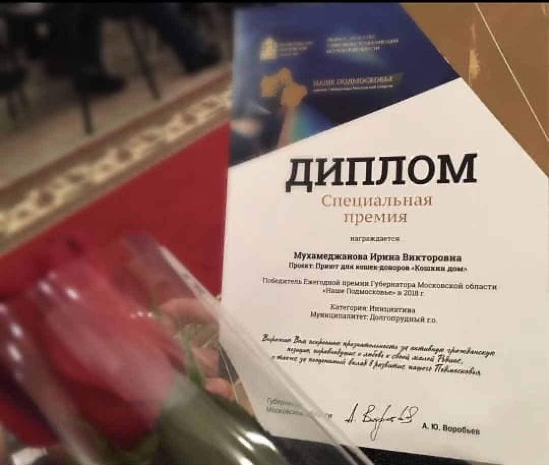 Долгопрудный, общество