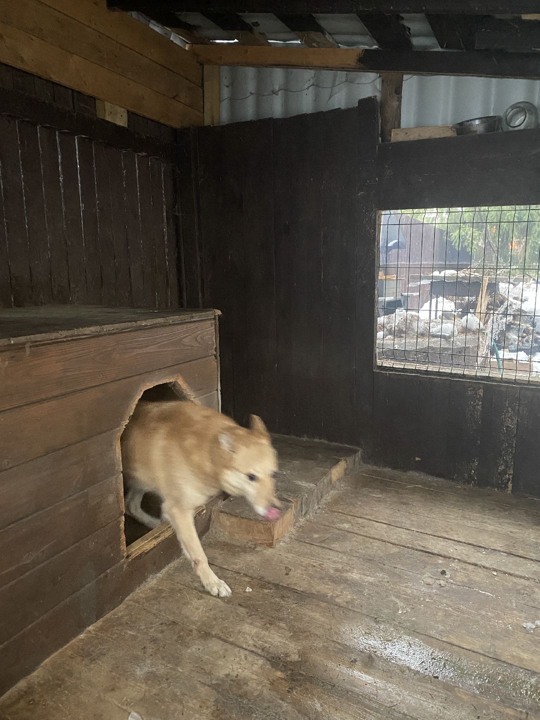 Долгопрудный, общество