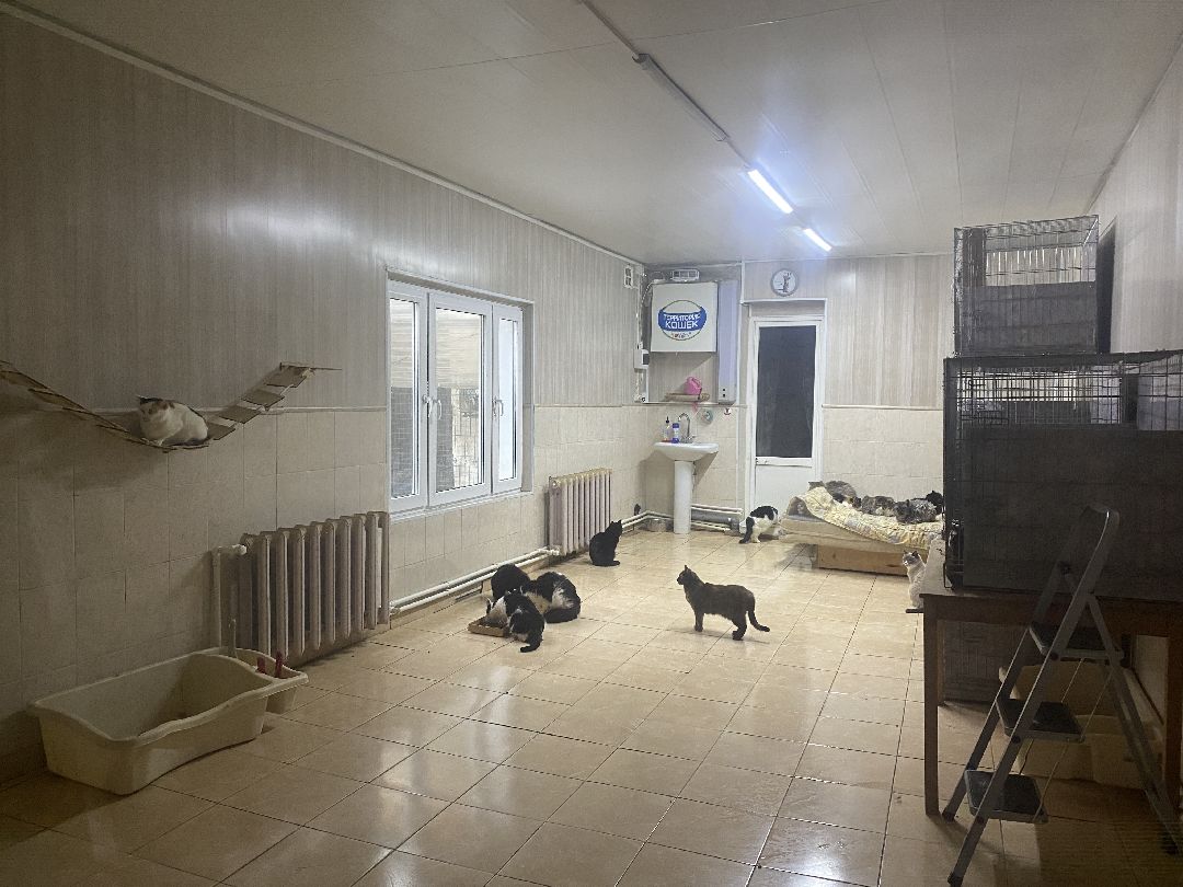 Долгопрудный, общество