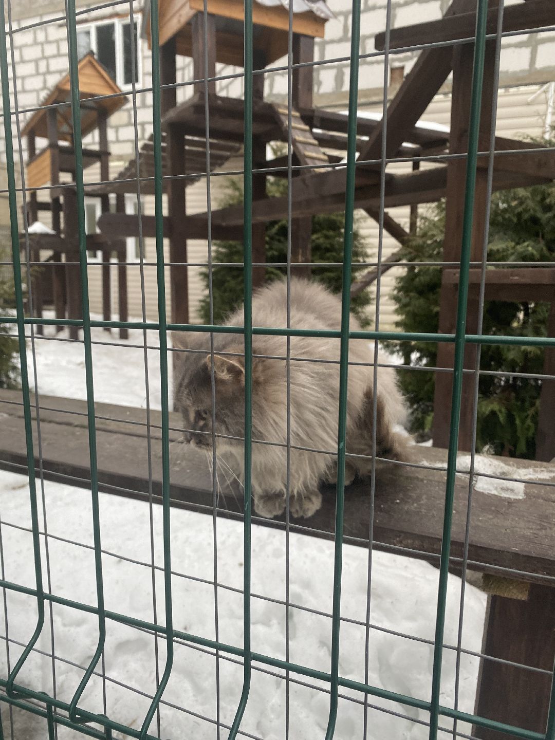 Долгопрудный, общество