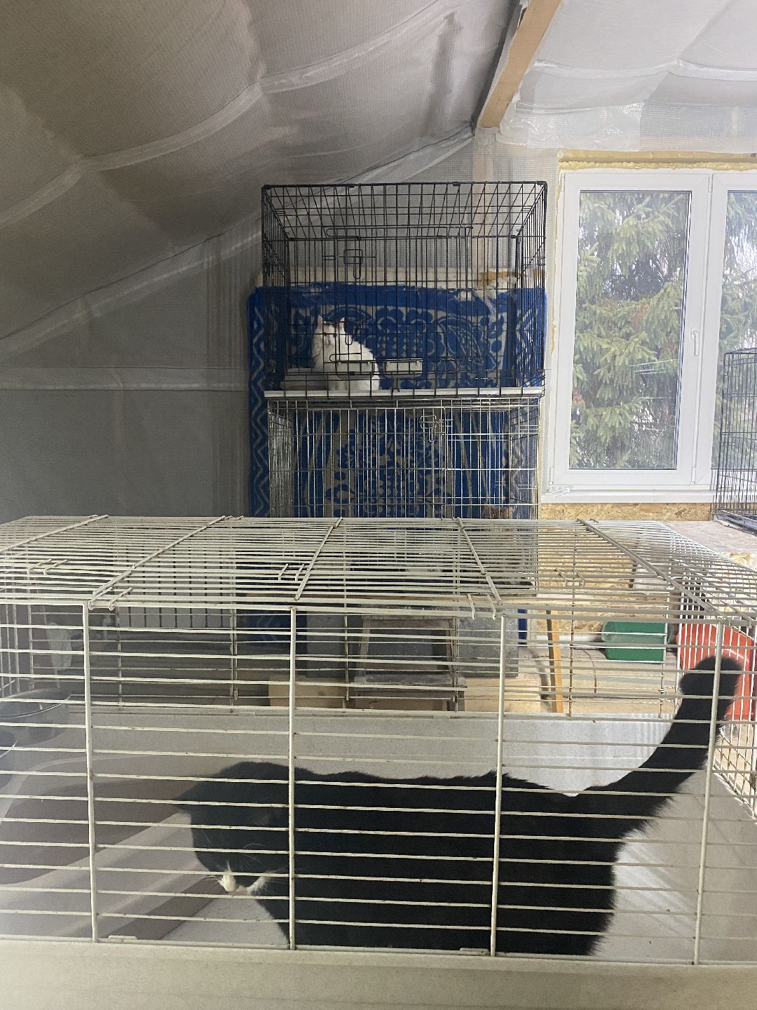 Долгопрудный, общество