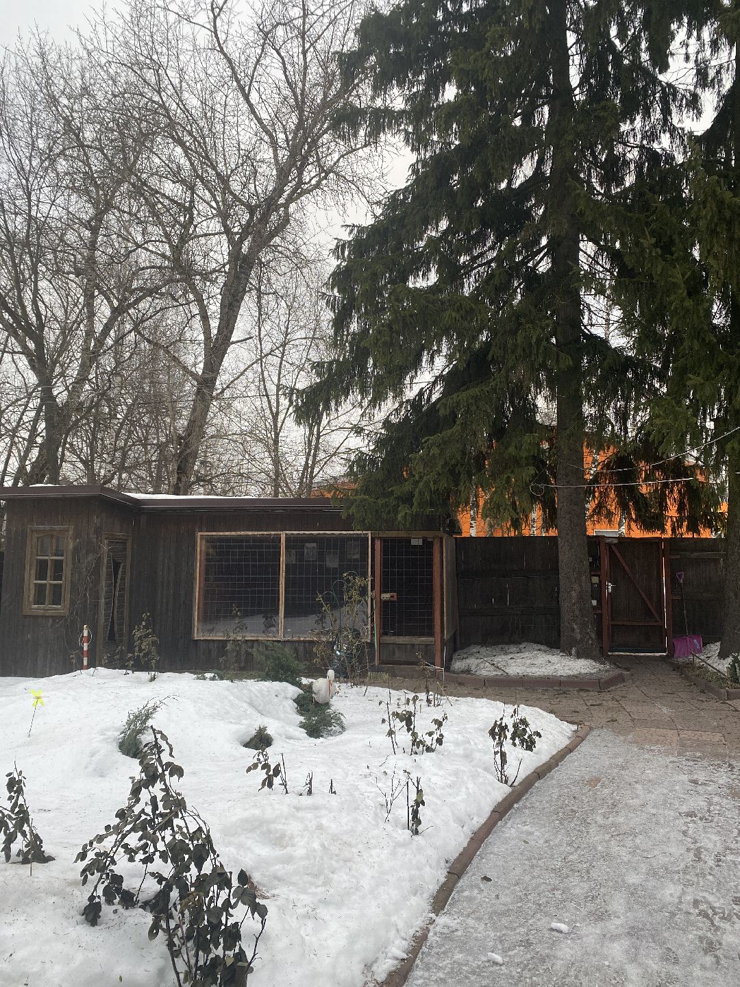 Долгопрудный, общество