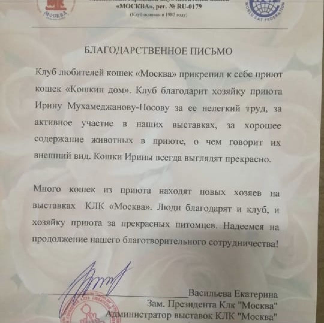 Долгопрудный, общество