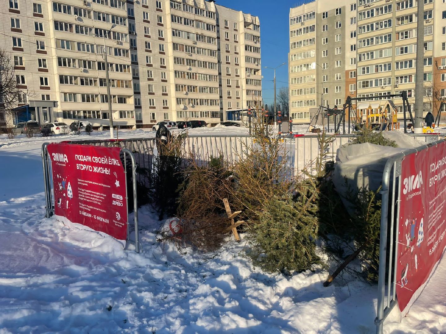 экологическая акция, Подари елке вторую жизнь, экология, Ногинск, Богородский городской округ,