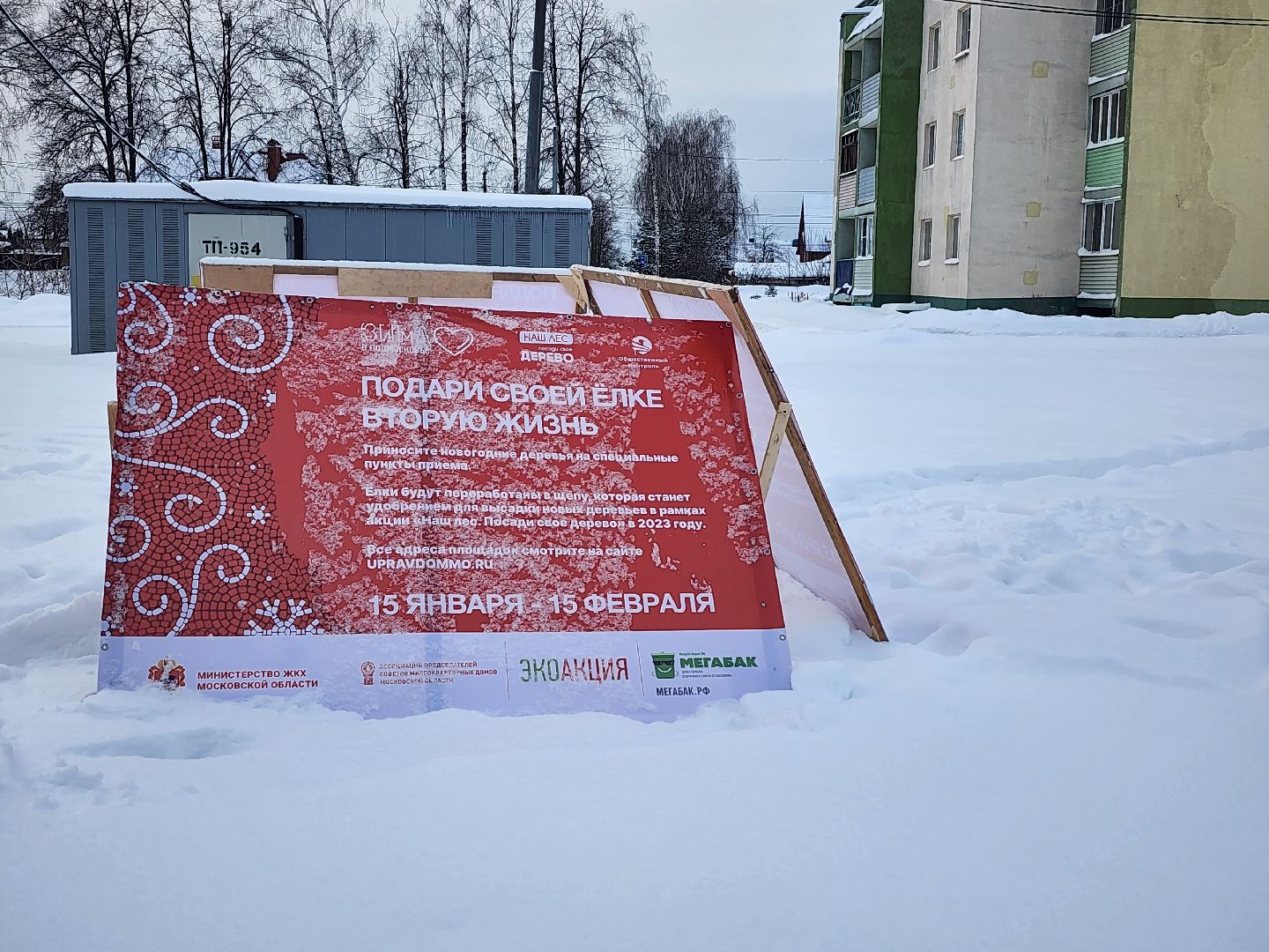 экологическая акция, Подари елке вторую жизнь, экология, Ногинск, Богородский городской округ,