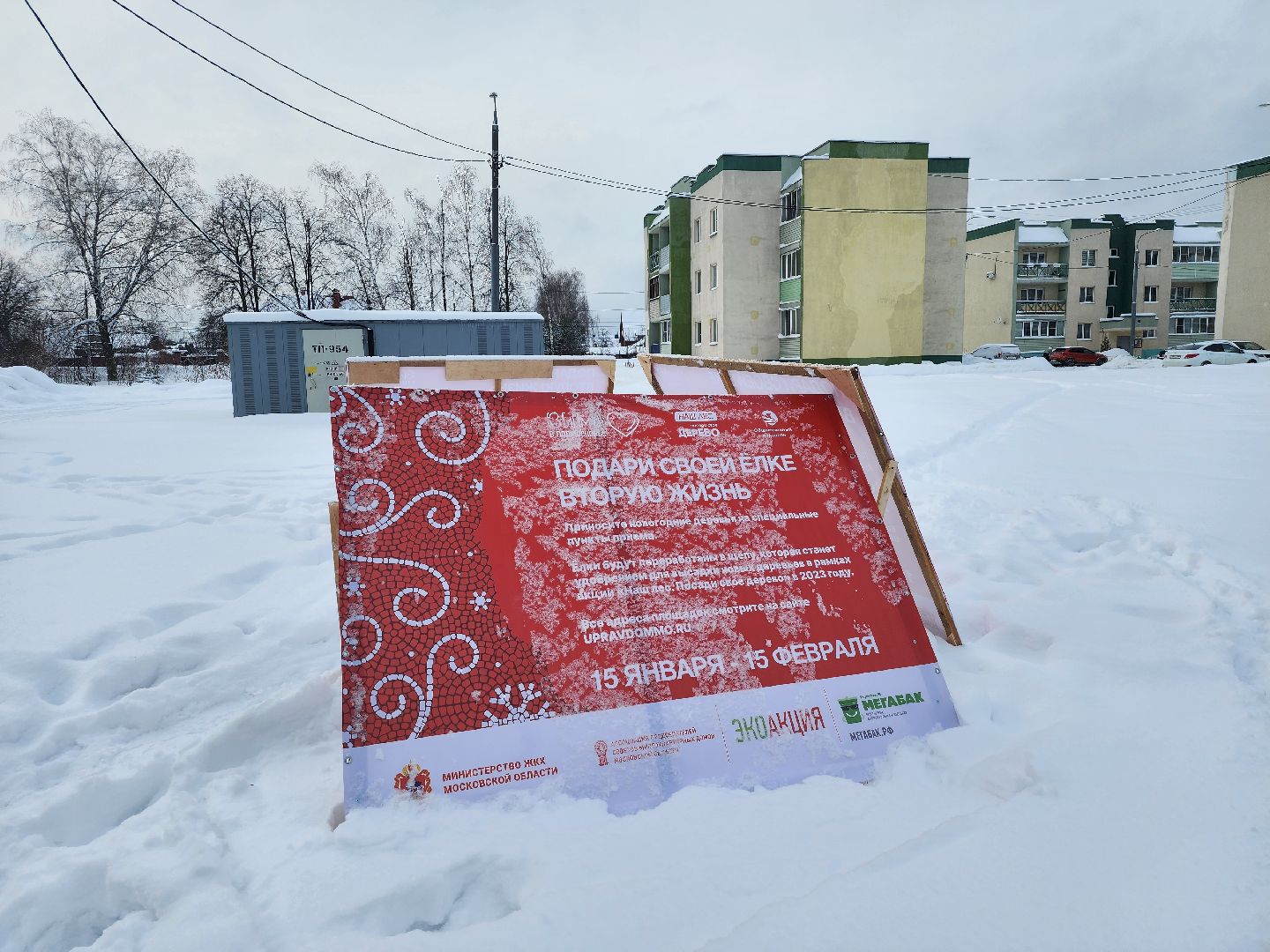 экологическая акция, Подари елке вторую жизнь, экология, Ногинск, Богородский городской округ,