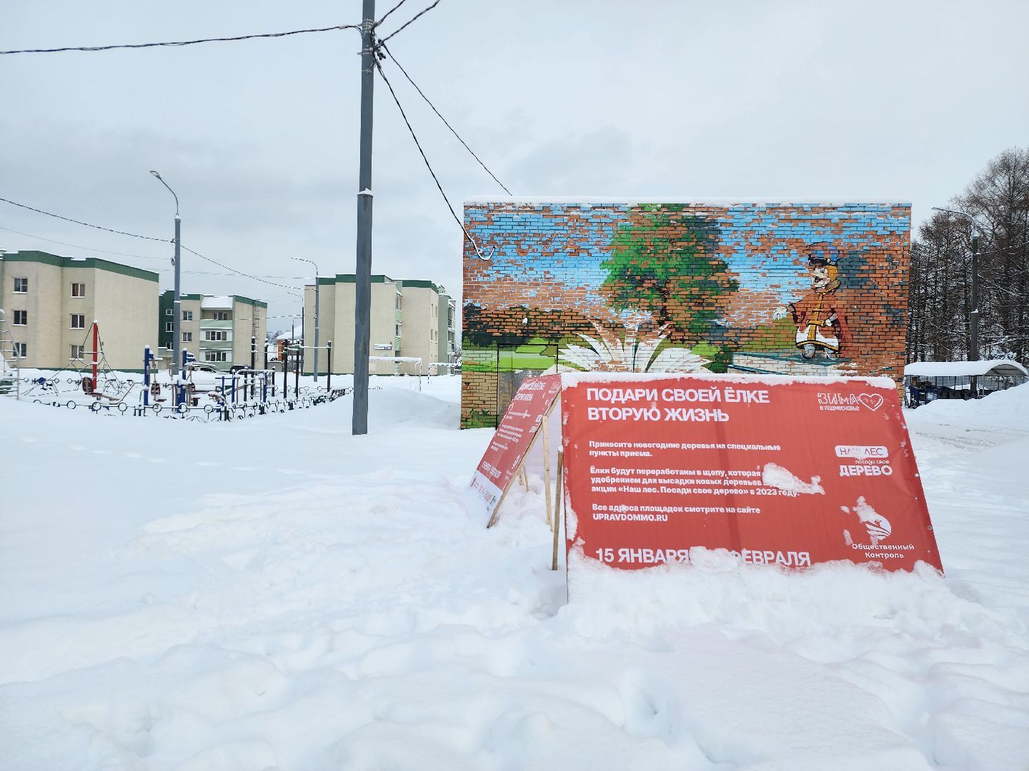 экологическая акция, Подари елке вторую жизнь, экология, Ногинск, Богородский городской округ,