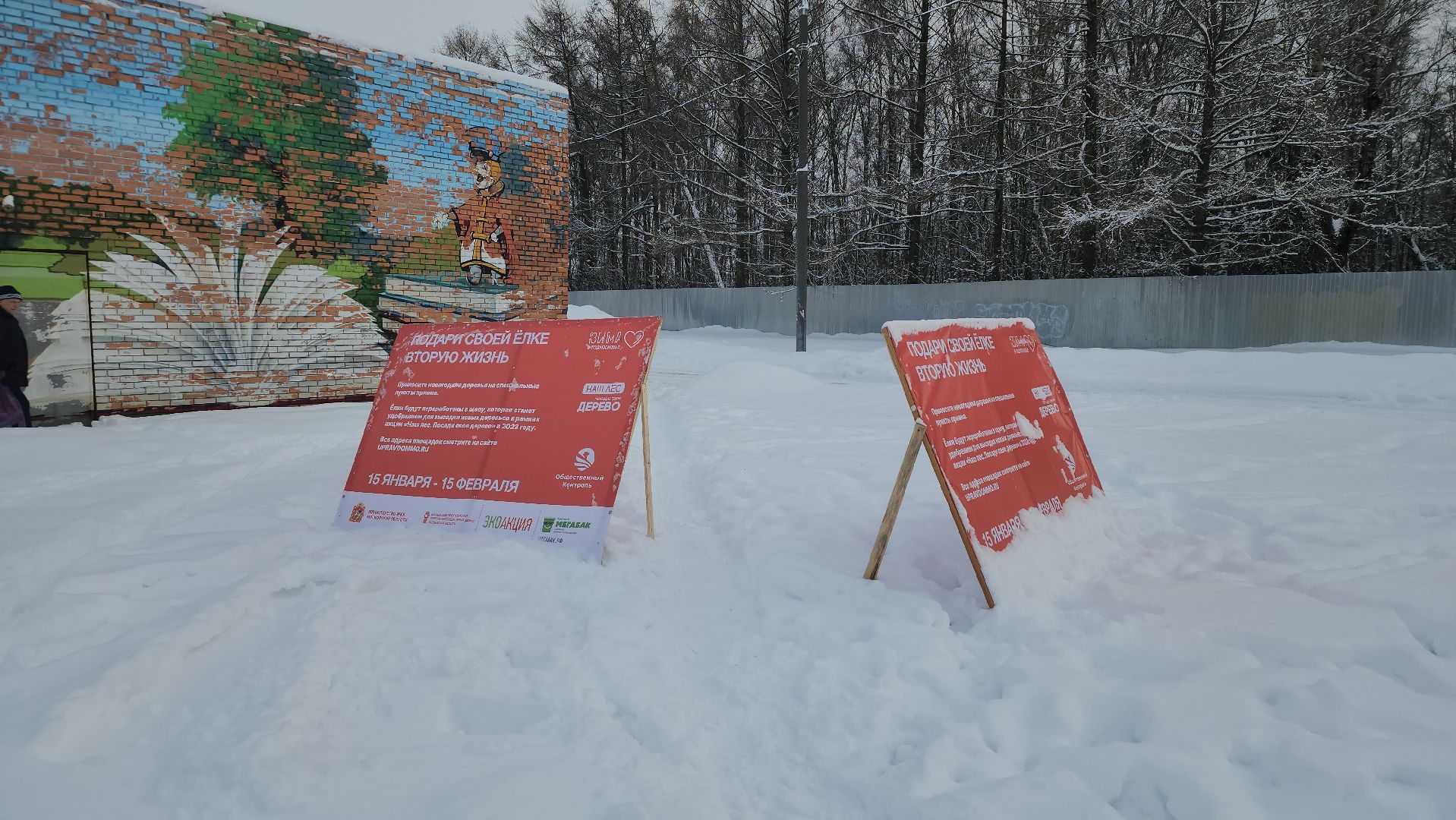 экологическая акция, Подари елке вторую жизнь, экология, Ногинск, Богородский городской округ,