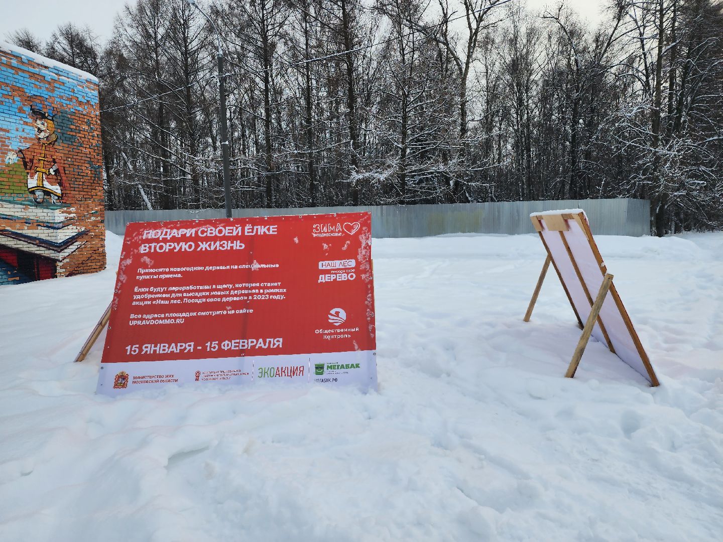 экологическая акция, Подари елке вторую жизнь, экология, Ногинск, Богородский городской округ,