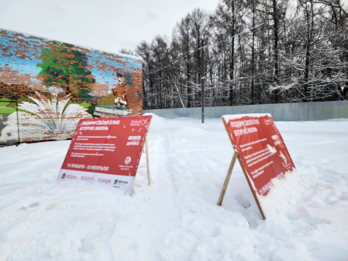 экологическая акция, Подари елке вторую жизнь, экология, Ногинск, Богородский городской округ,