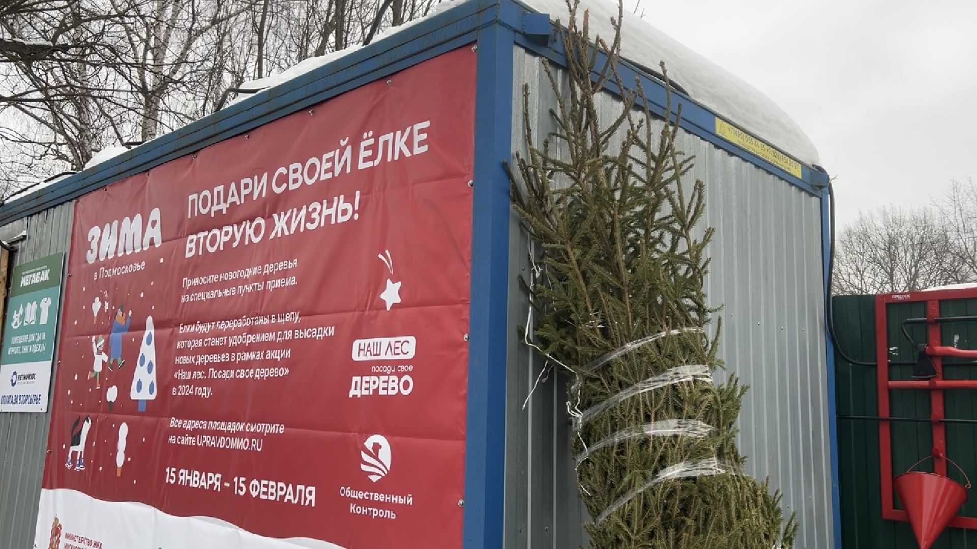 химки, благоустройство, мегабак, переработка мусора, вторсырье,