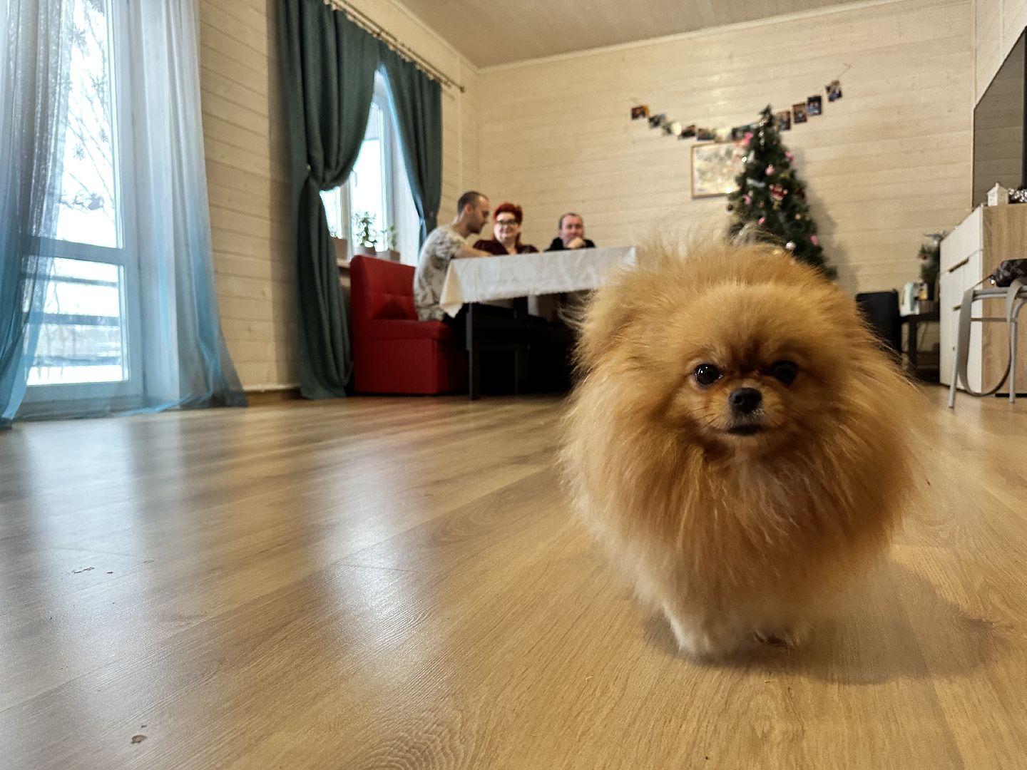 Проблемы с электричеством, наро-фоминск, россети,