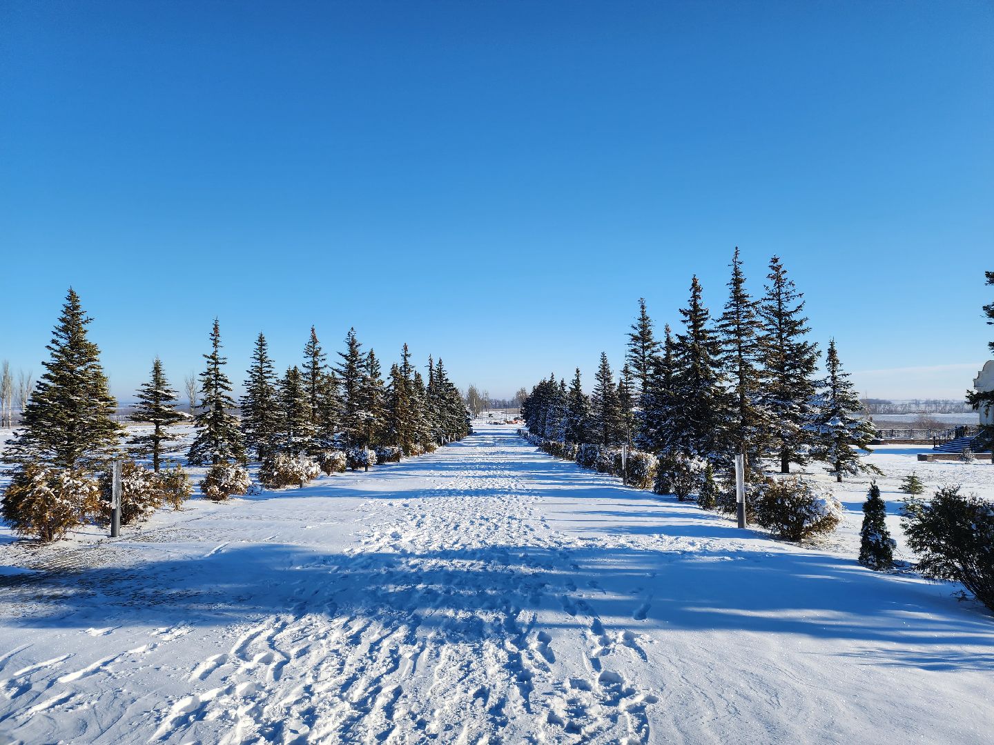 сво, гуманитарная помощь, мы вместе, Мы за Победу,Донецк, Авдеевка, Звенигород,