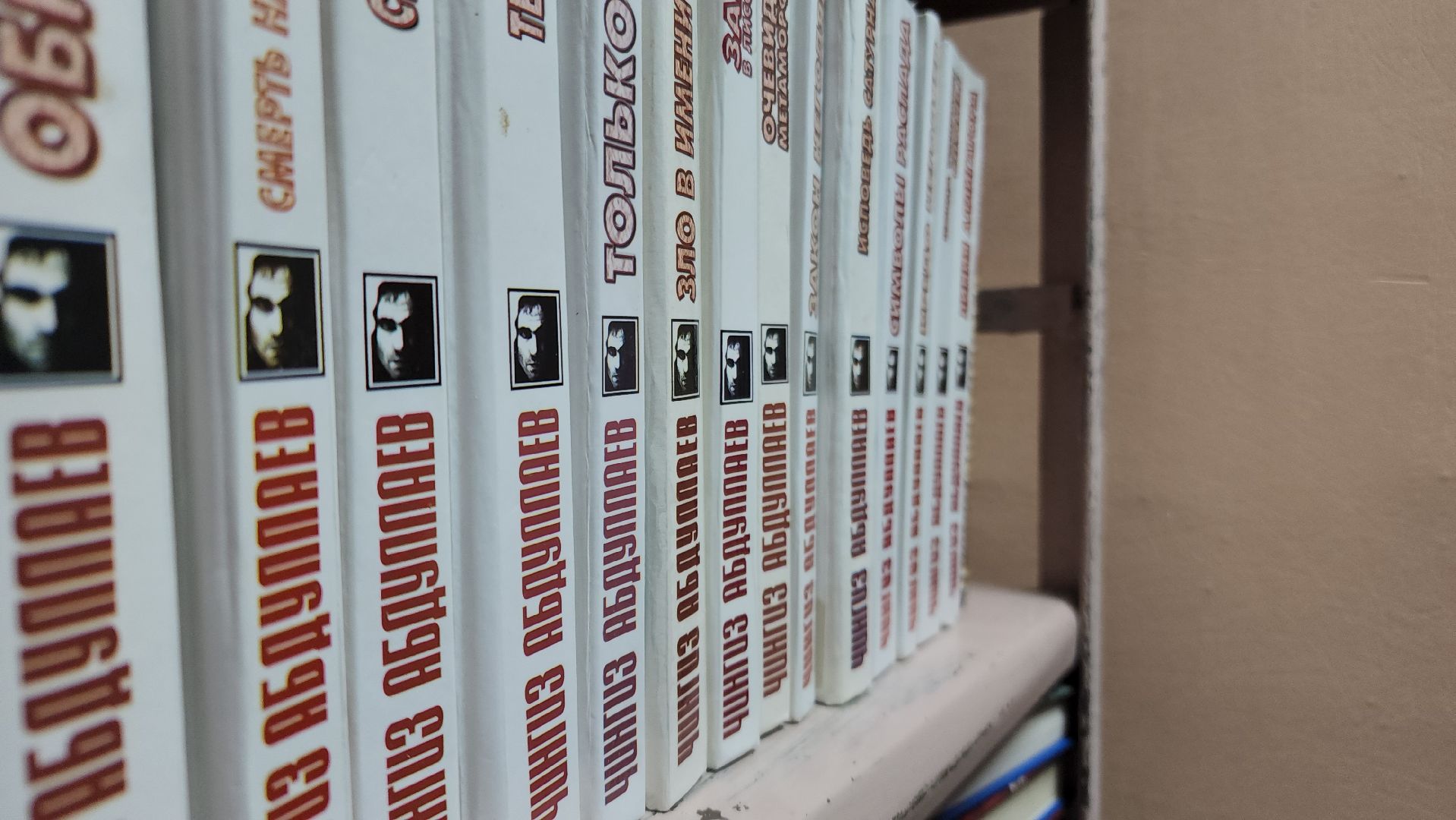 волоколамск, осташево, библиотека, библиотекарь, жители, сельская местность, книги, книголюбы,