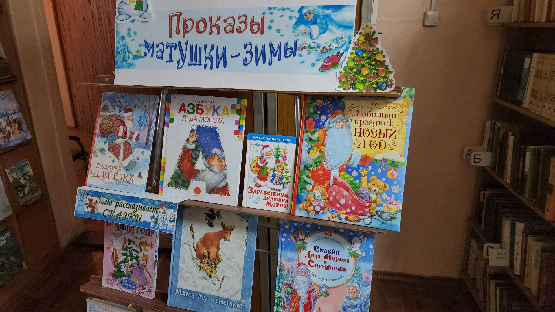 волоколамск, осташево, библиотека, библиотекарь, жители, сельская местность, книги, книголюбы,