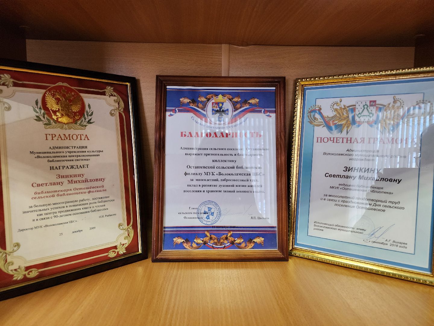 волоколамск, осташево, библиотека, библиотекарь, жители, сельская местность, книги, книголюбы,