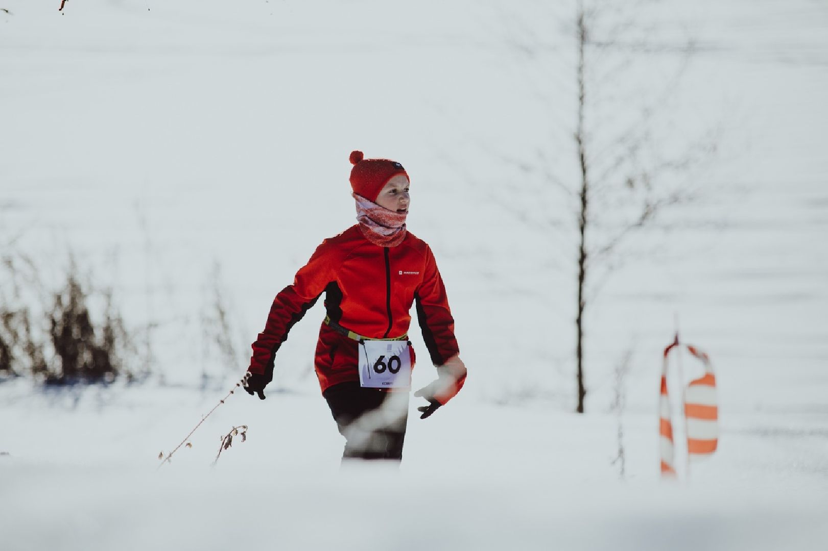 трейл, щёлково, усадьба гребнево, бег,