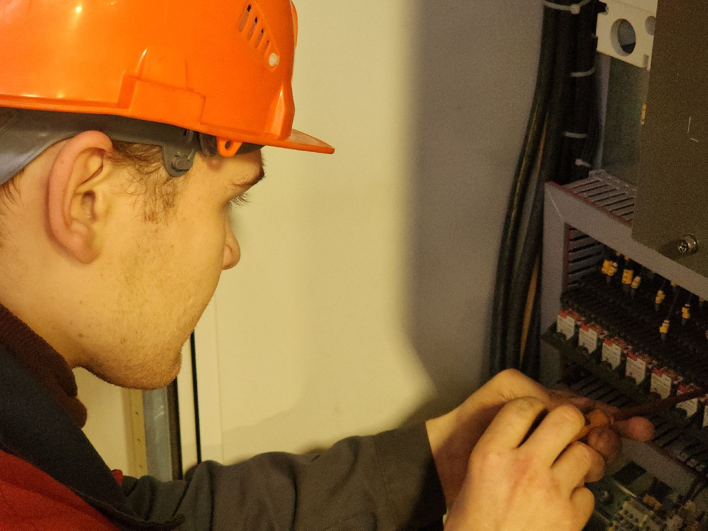 коломна, общество, коломенский завод, колледж коломна, профессионалитет,