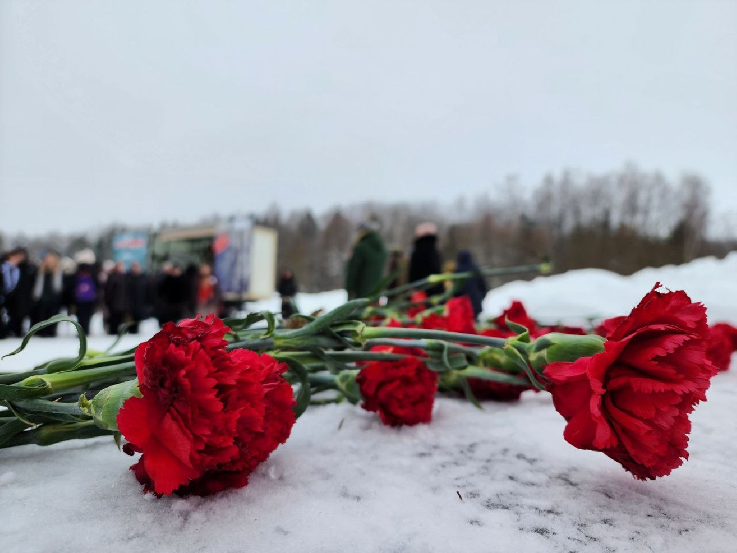 можайск, можайский городской округ, подмосковье, вахта памяти, деревня мокрое, освобождение деревни, Населнные пункты воинской доблести, Великая Отечественная война,