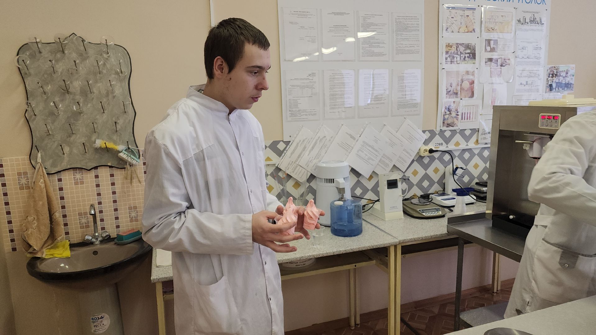 волоколамск, техникум, ват холмогорка, мороженое, студенты, день студента,