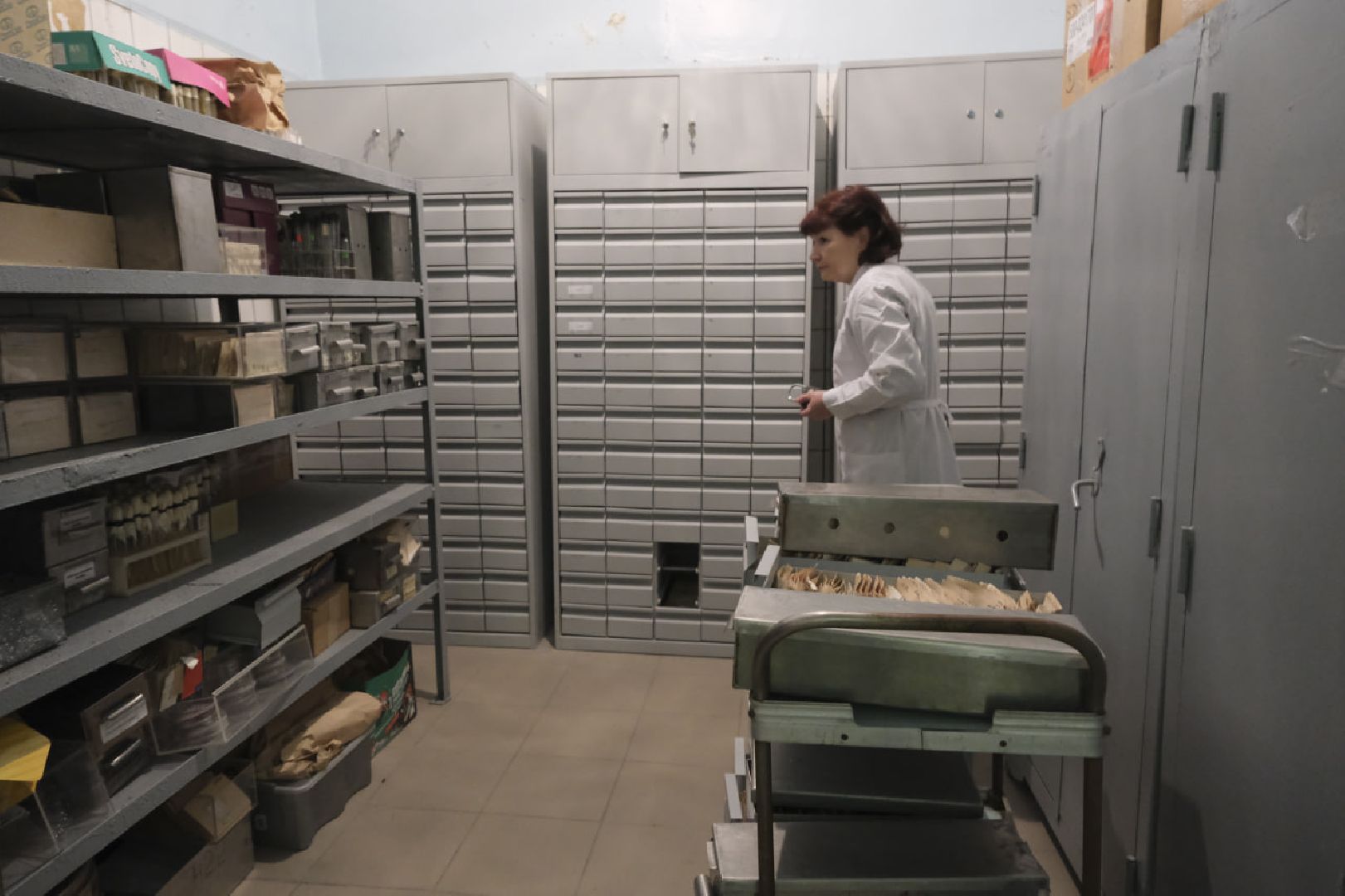 пущино, серпухов, наука, отрытия,