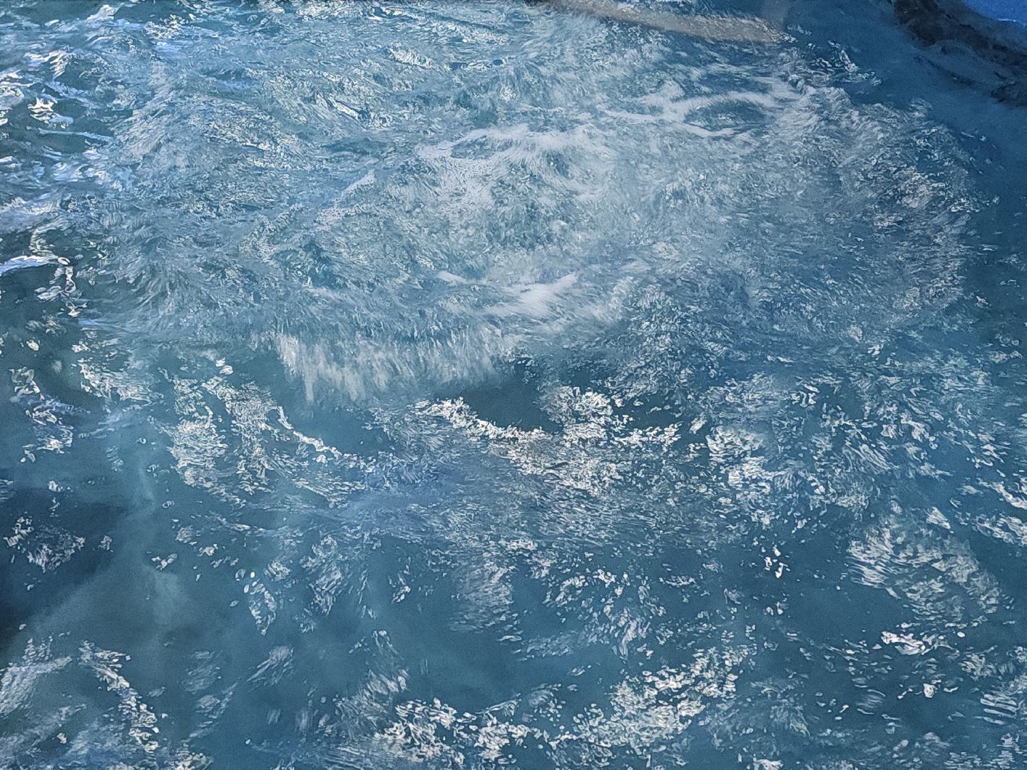 коломна, спорт, гребля,