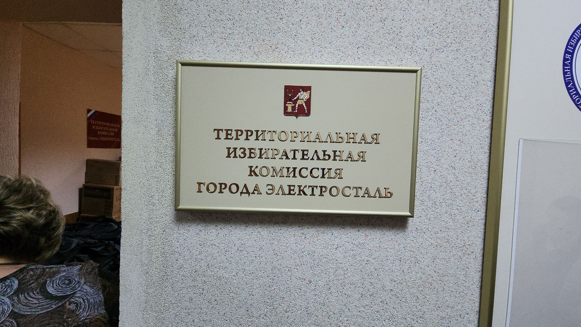 тик, уик, электросталь, мой город, выборы, выборы 2024, выборы президента, выборы президента 2024,