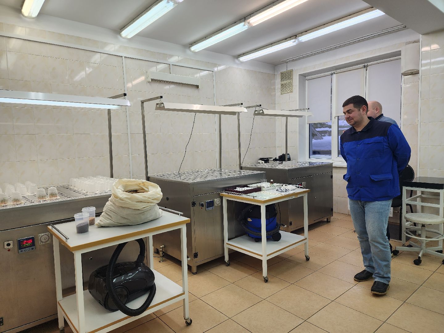 пушкино, лесопитомник, ель, кремль, новогодняя елка, волонтеры,