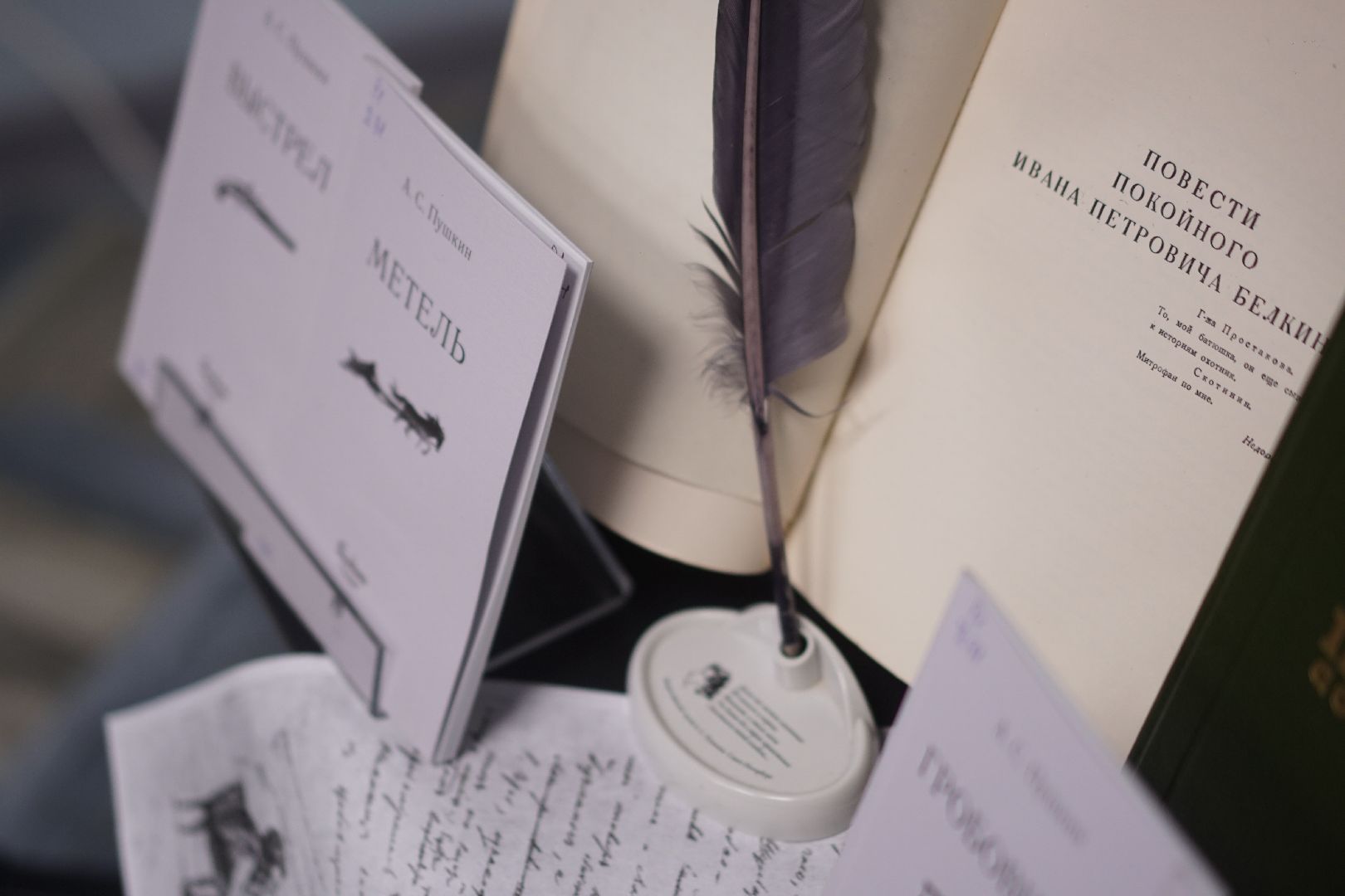 Егорьевск, городская библиотека, литературная гостиная, круглы стол, Пушкин, год Пушкина,