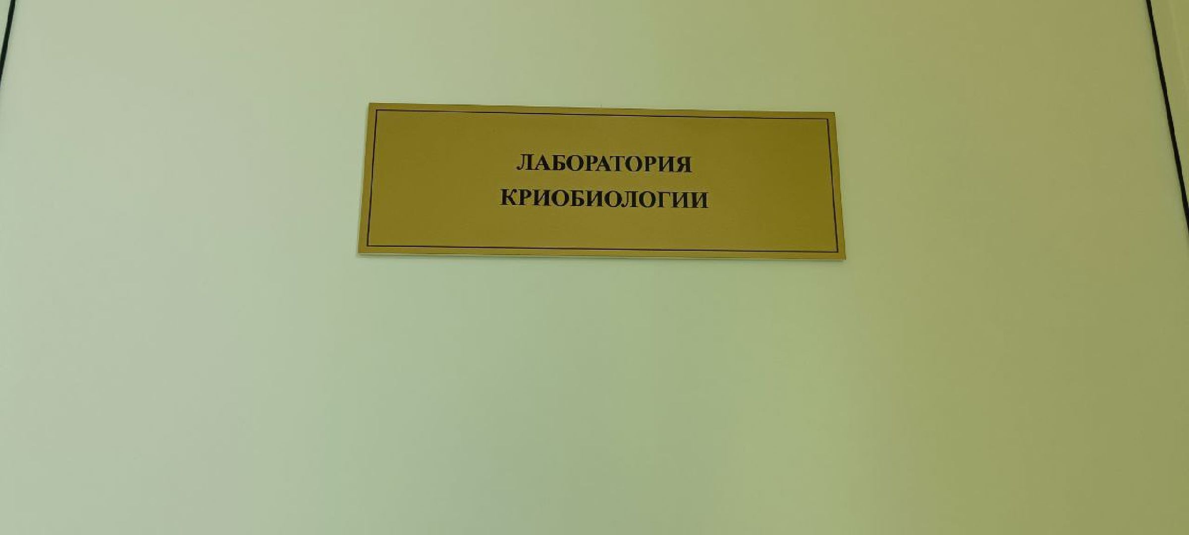 Дмитров, Рыбное, ВНИИПРХ, ВНИРО,