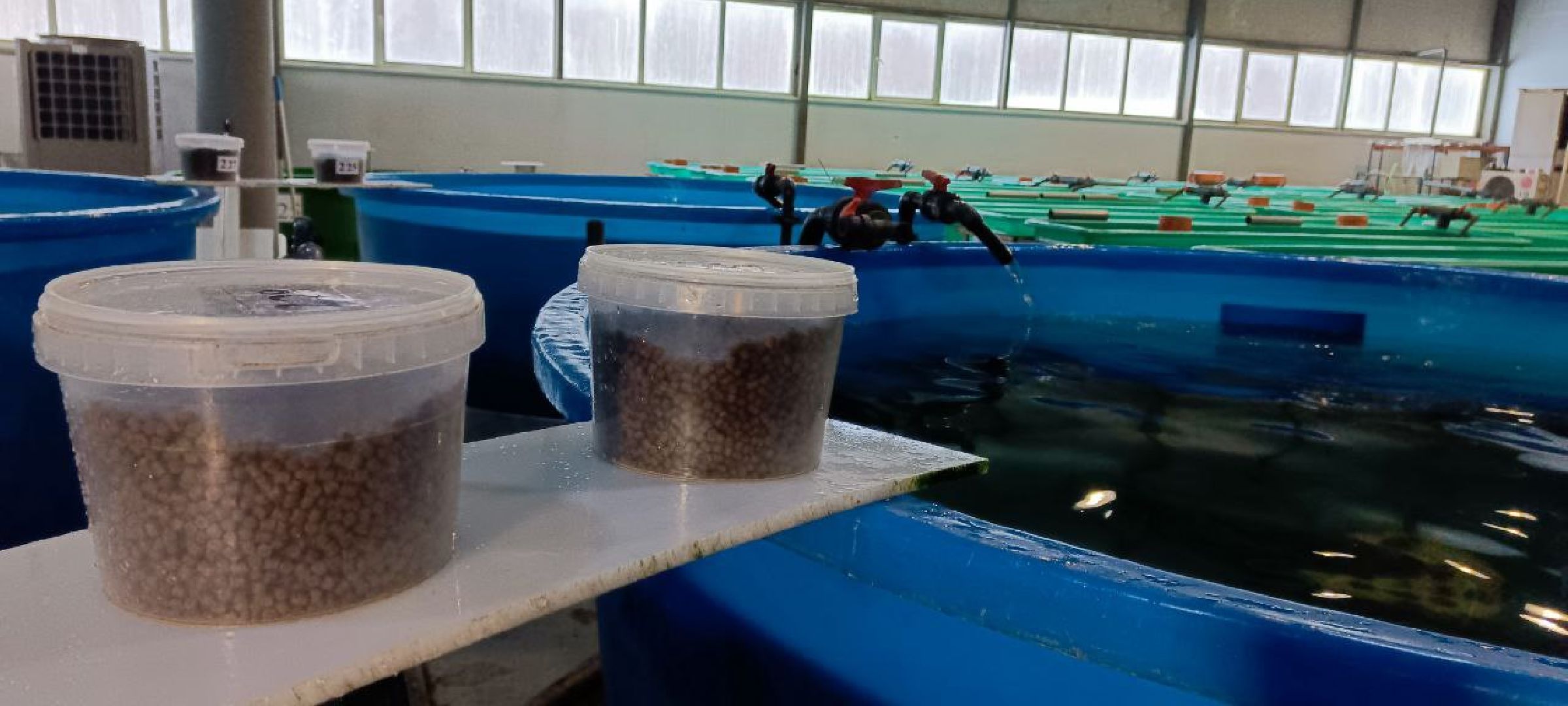 Дмитров, Рыбное, ВНИИПРХ, ВНИРО,