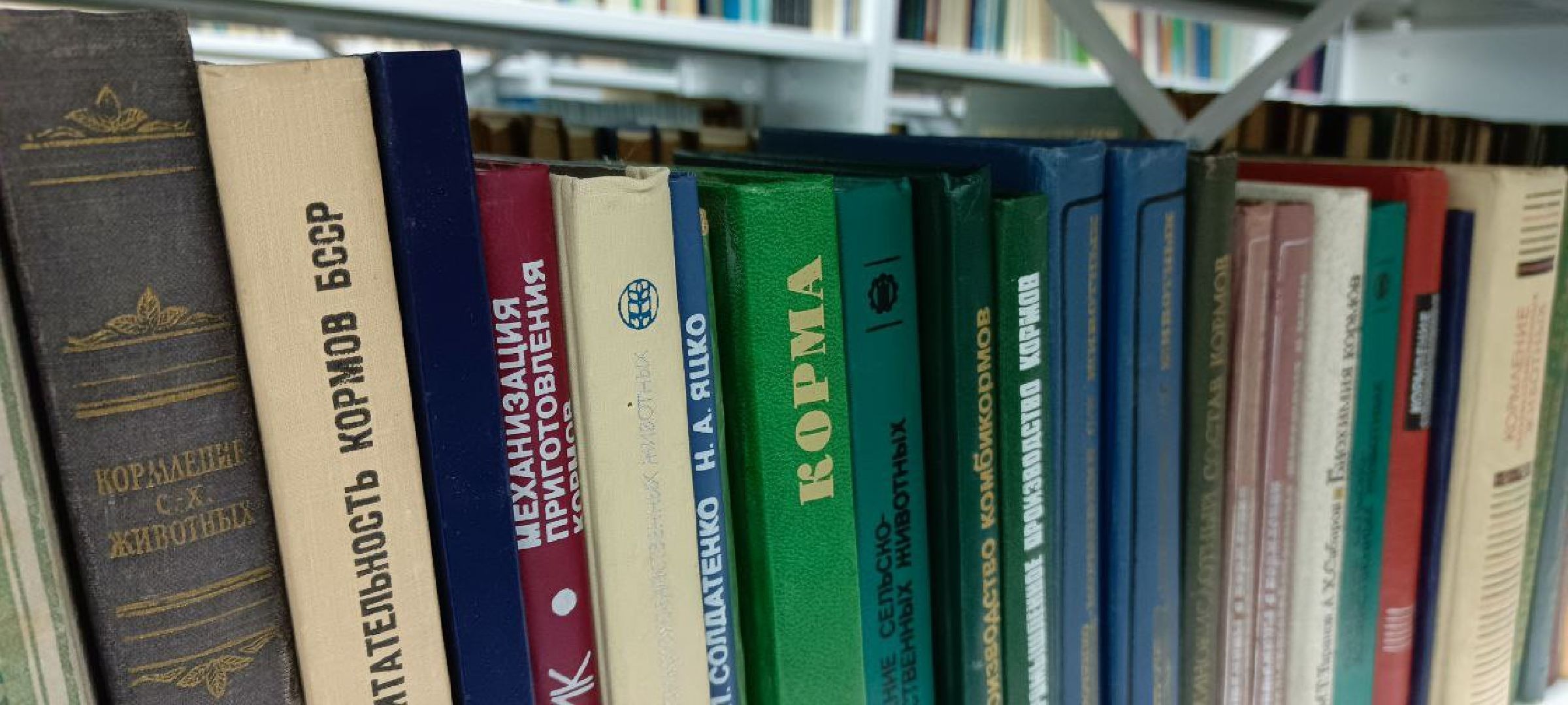 Дмитров, Рыбное, ВНИИПРХ, ВНИРО,