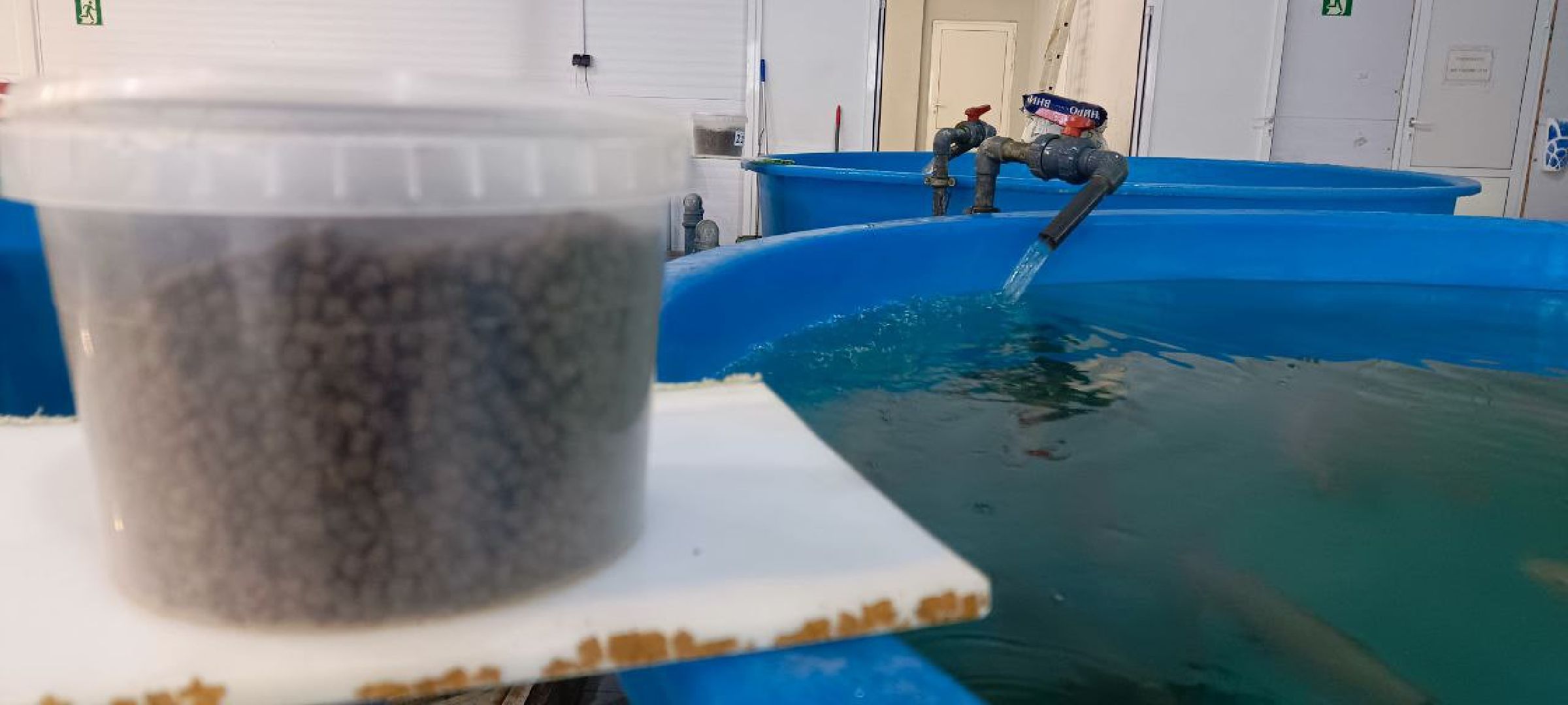 Дмитров, Рыбное, ВНИИПРХ, ВНИРО,