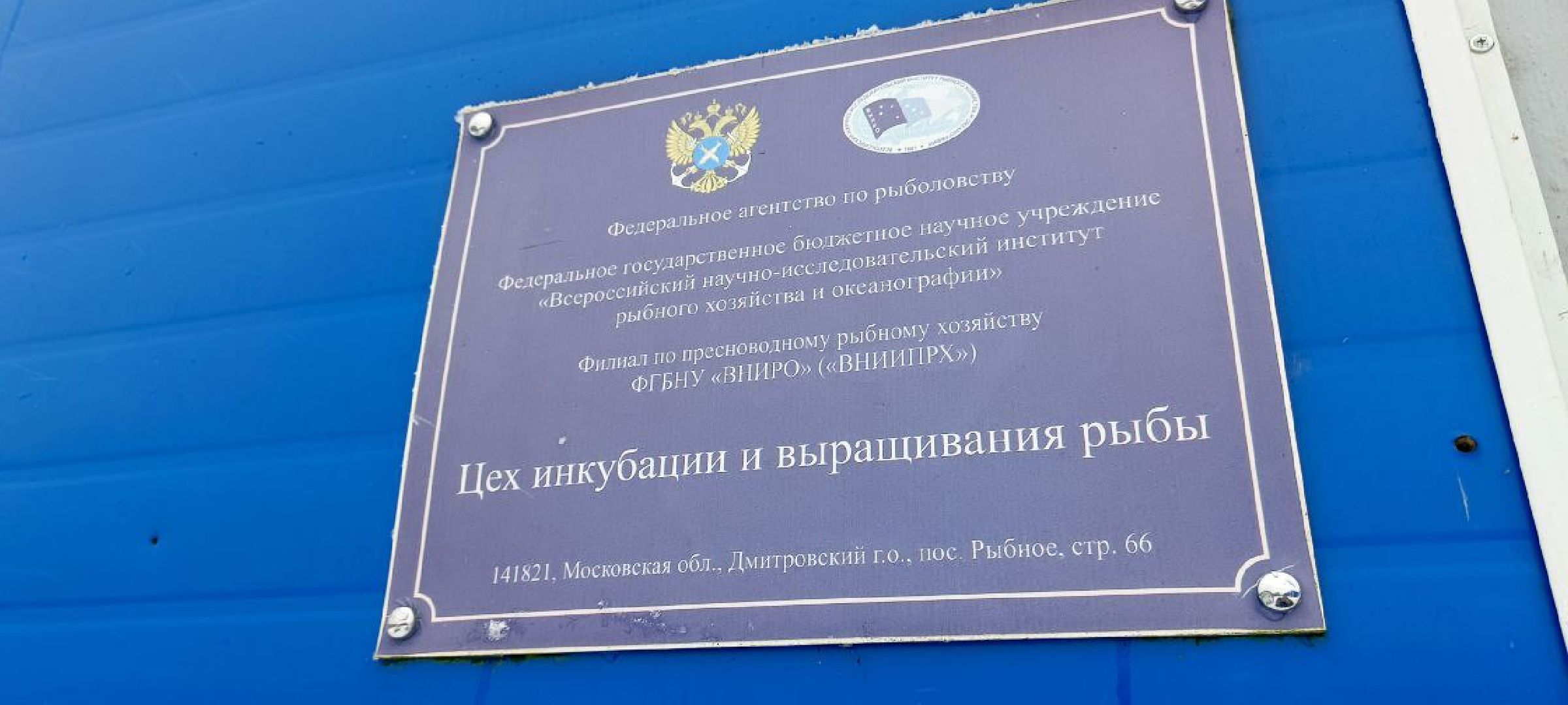 Дмитров, Рыбное, ВНИИПРХ, ВНИРО,