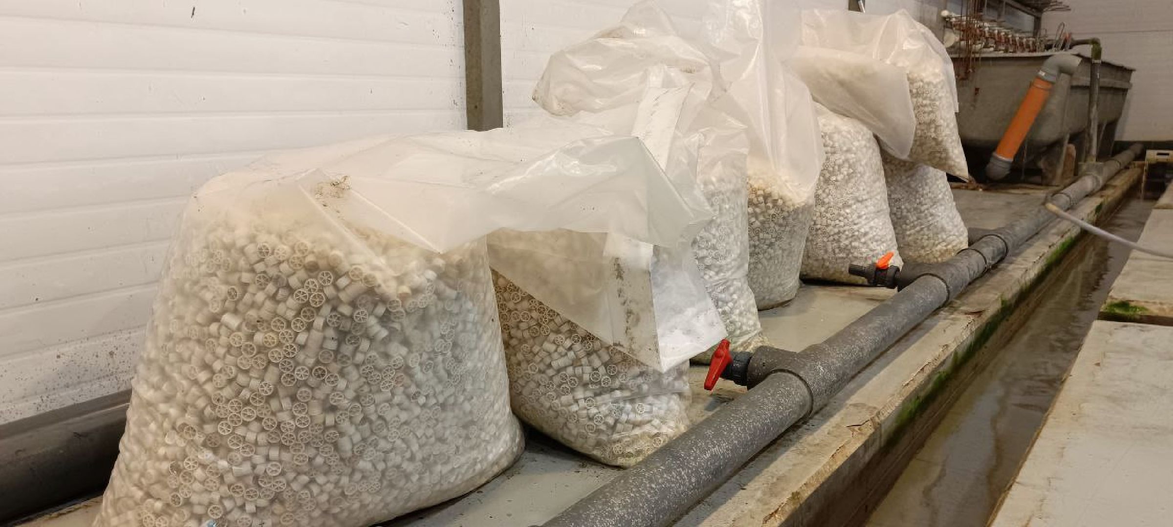 Дмитров, Рыбное, ВНИИПРХ, ВНИРО,